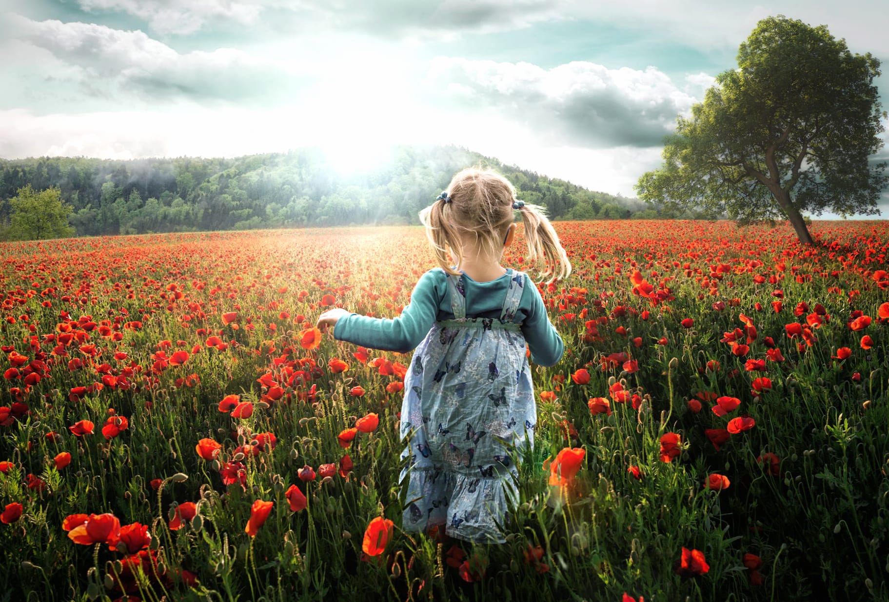 Running Free A Little Girl in a Poppy Field - wallpapers HD quality