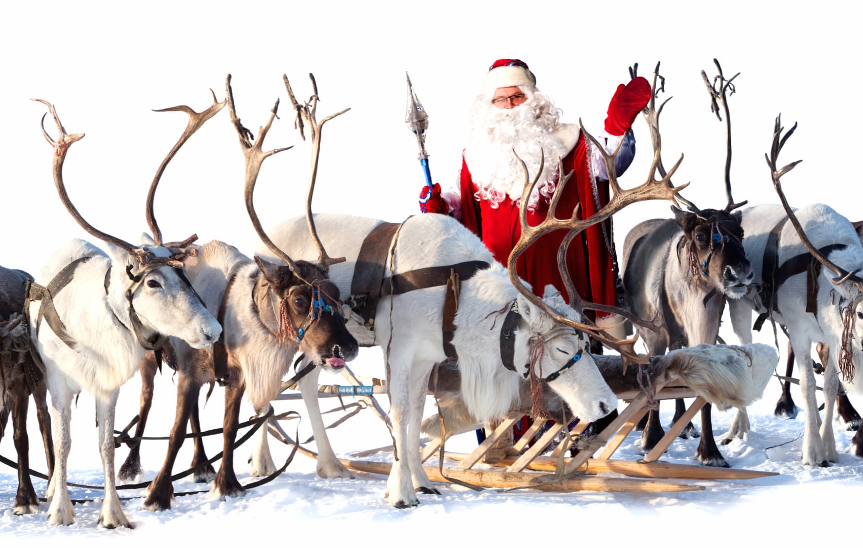 Santa and Reindeer Holiday wallpapers HD quality