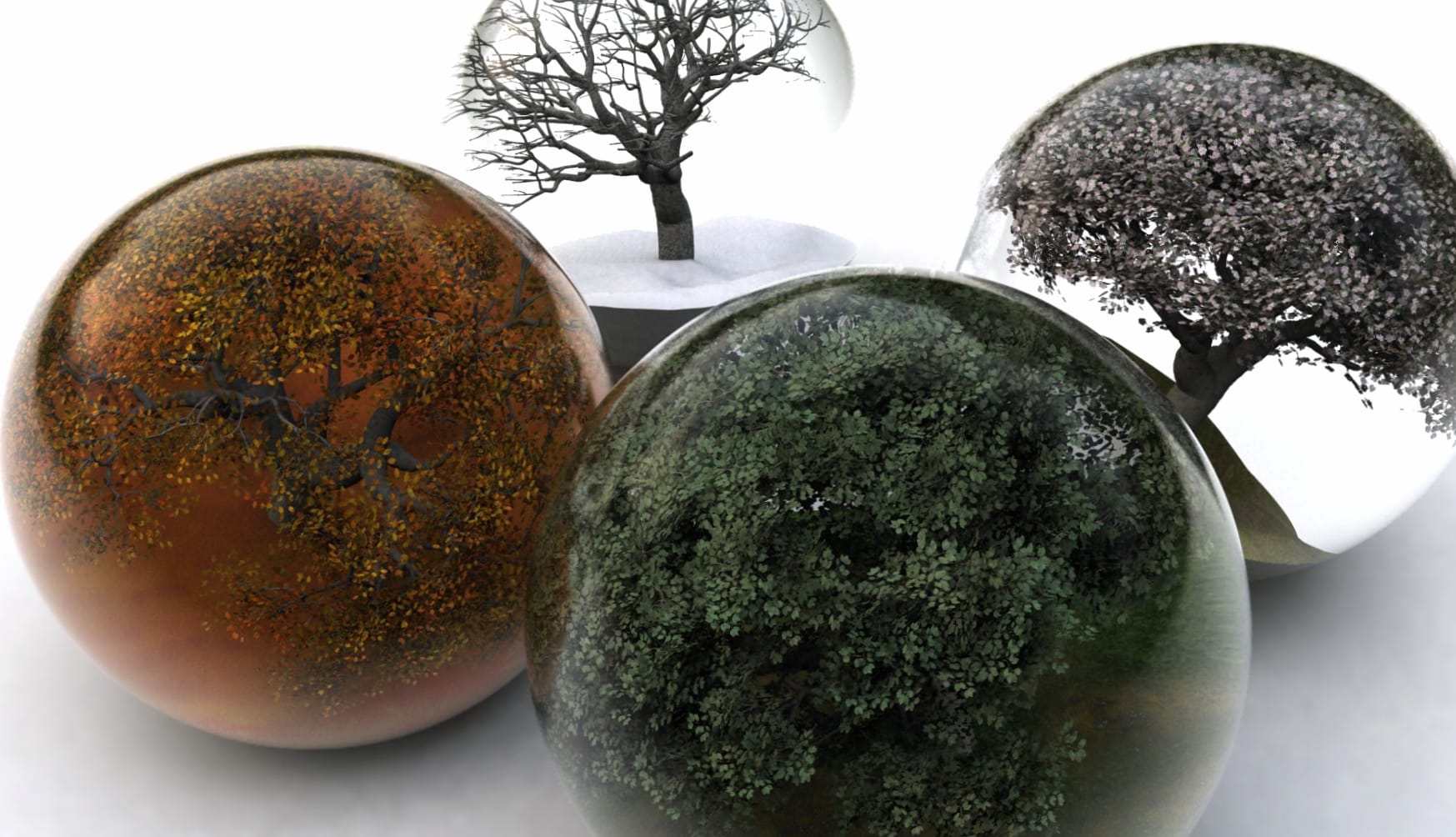 Seasons in Focus A Stunning Experience at 1920 x 1080 HD size wallpapers HD quality