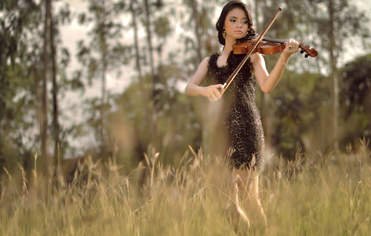 Serenade in Nature - Violin Model wallpapers HD quality