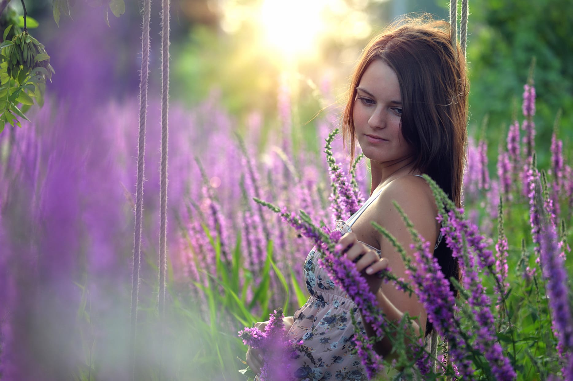 Serene Beauty in Lavender Fields - wallpapers HD quality