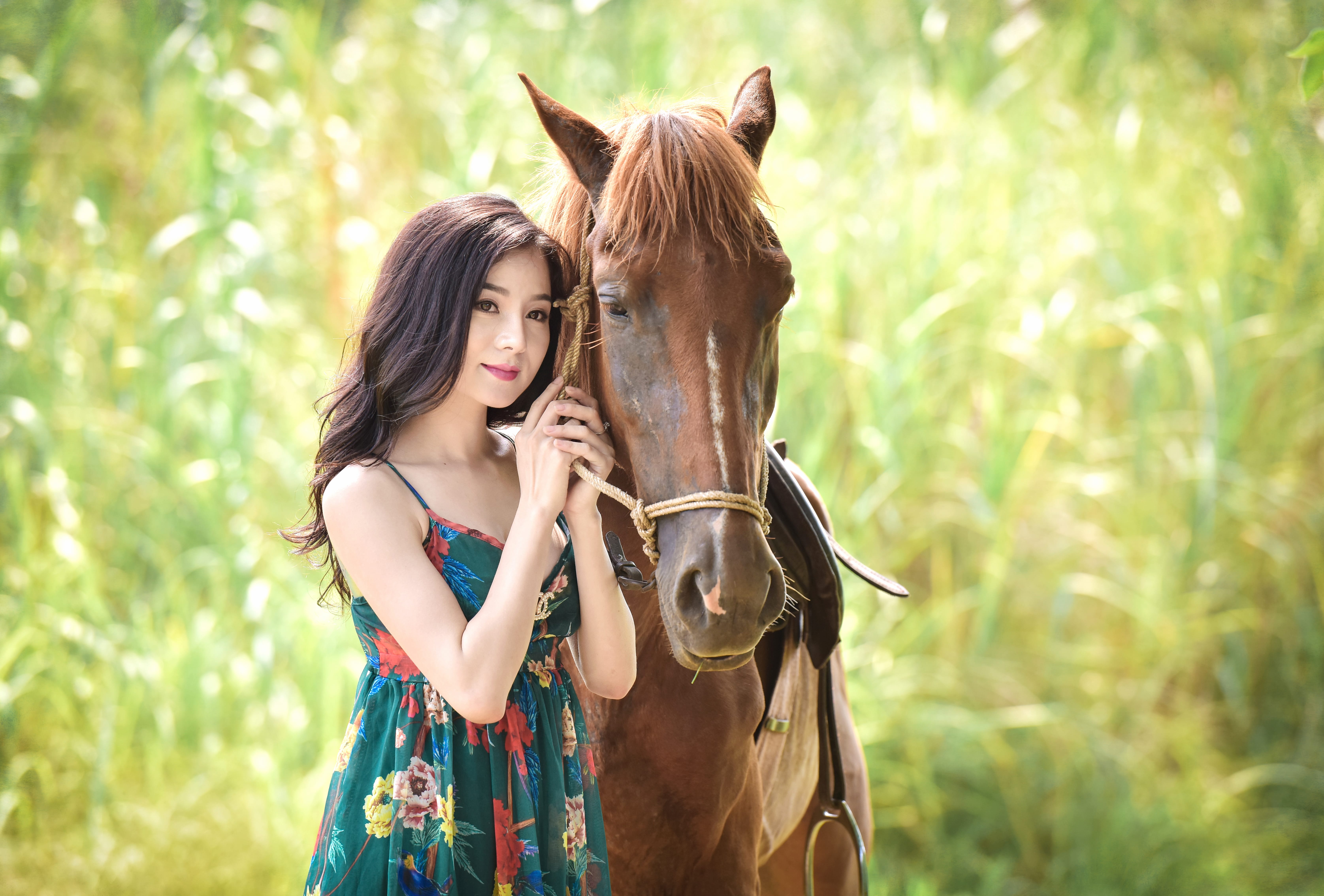 Serene Beauty with Horse - at 2560 x 1440 HD size wallpapers HD quality