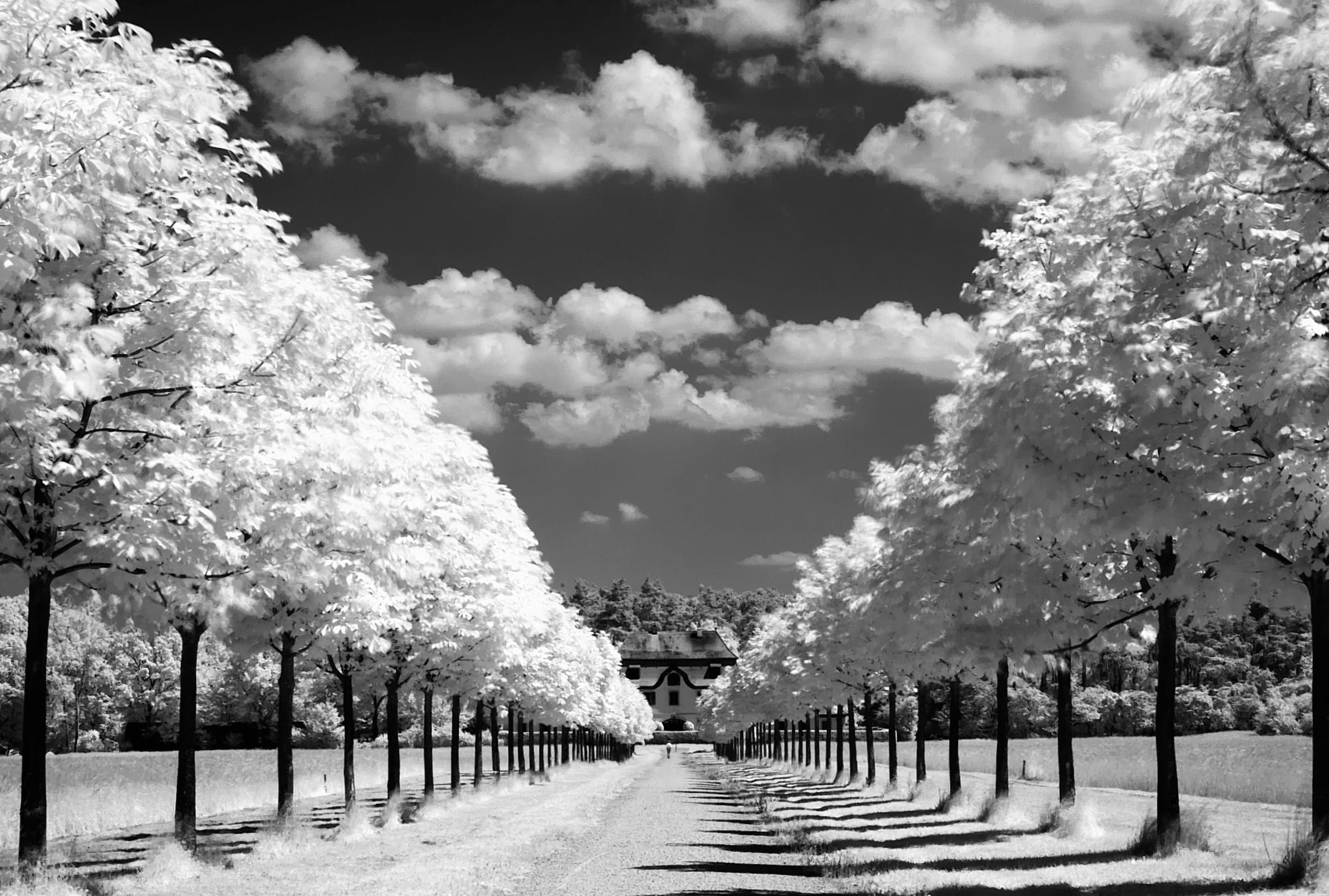 Serene Black & White Landscape - wallpapers HD quality