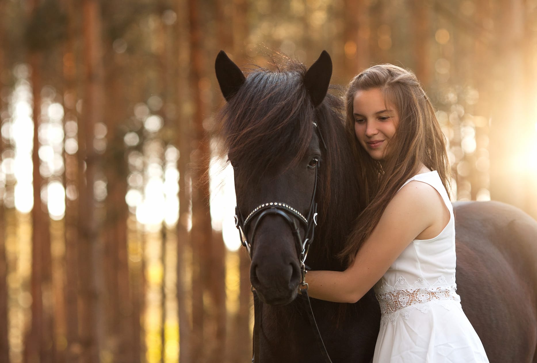 Serene Connection Horse & Woman wallpapers HD quality