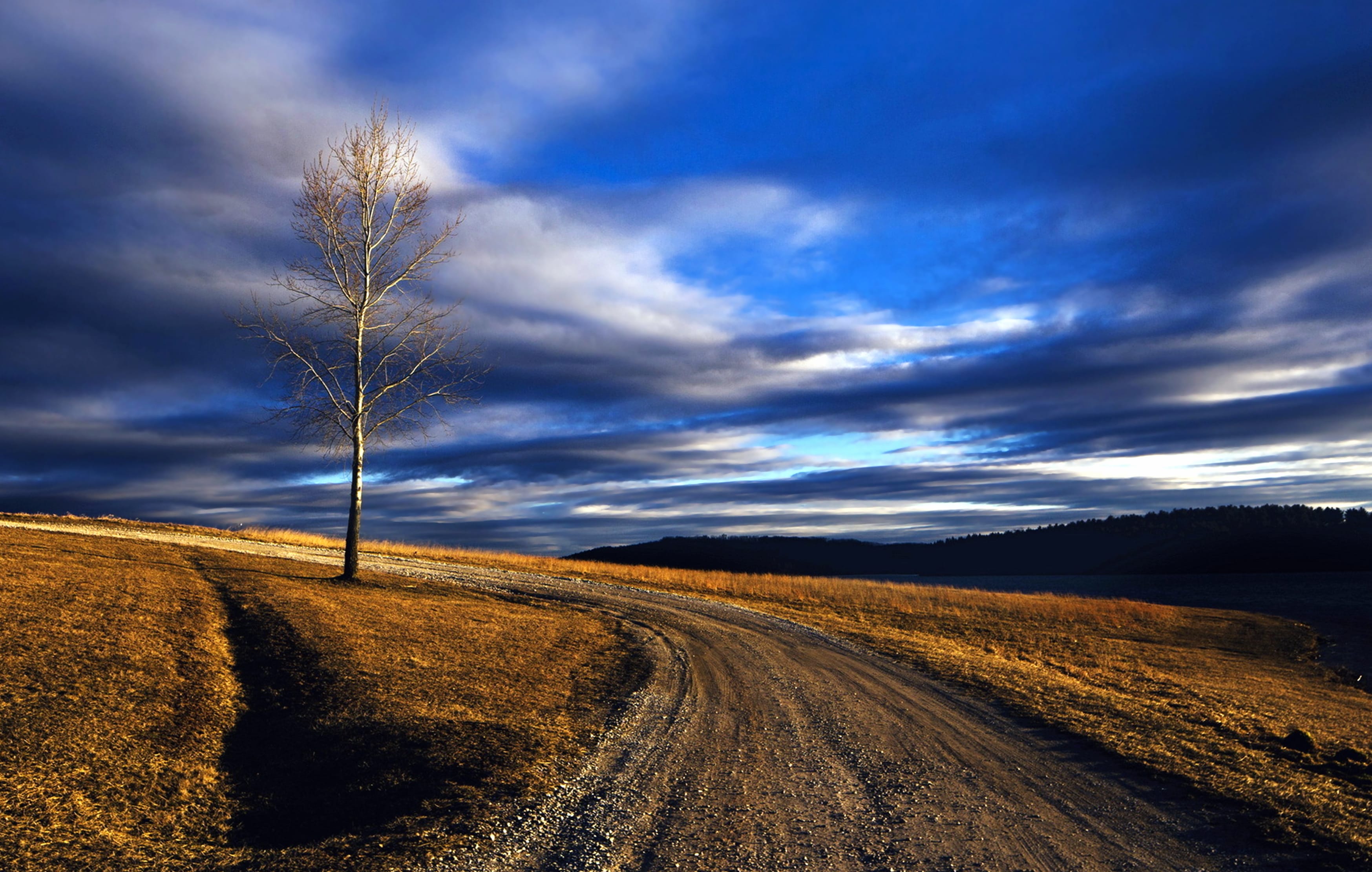 Serene Countryside Road A HD Landscape Experience at 2048 x 2048 iPad size wallpapers HD quality