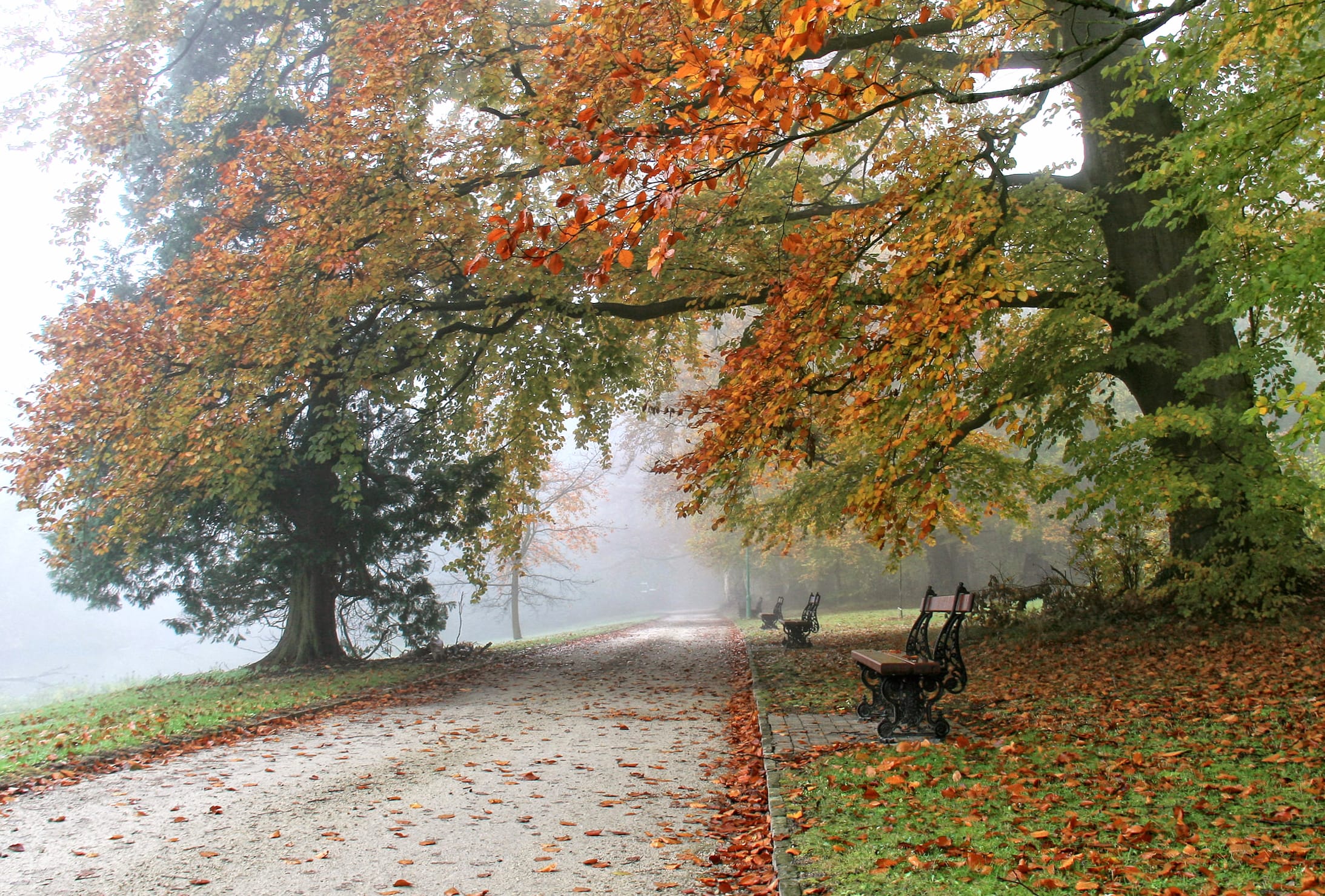 Serene Fall Park - wallpapers HD quality