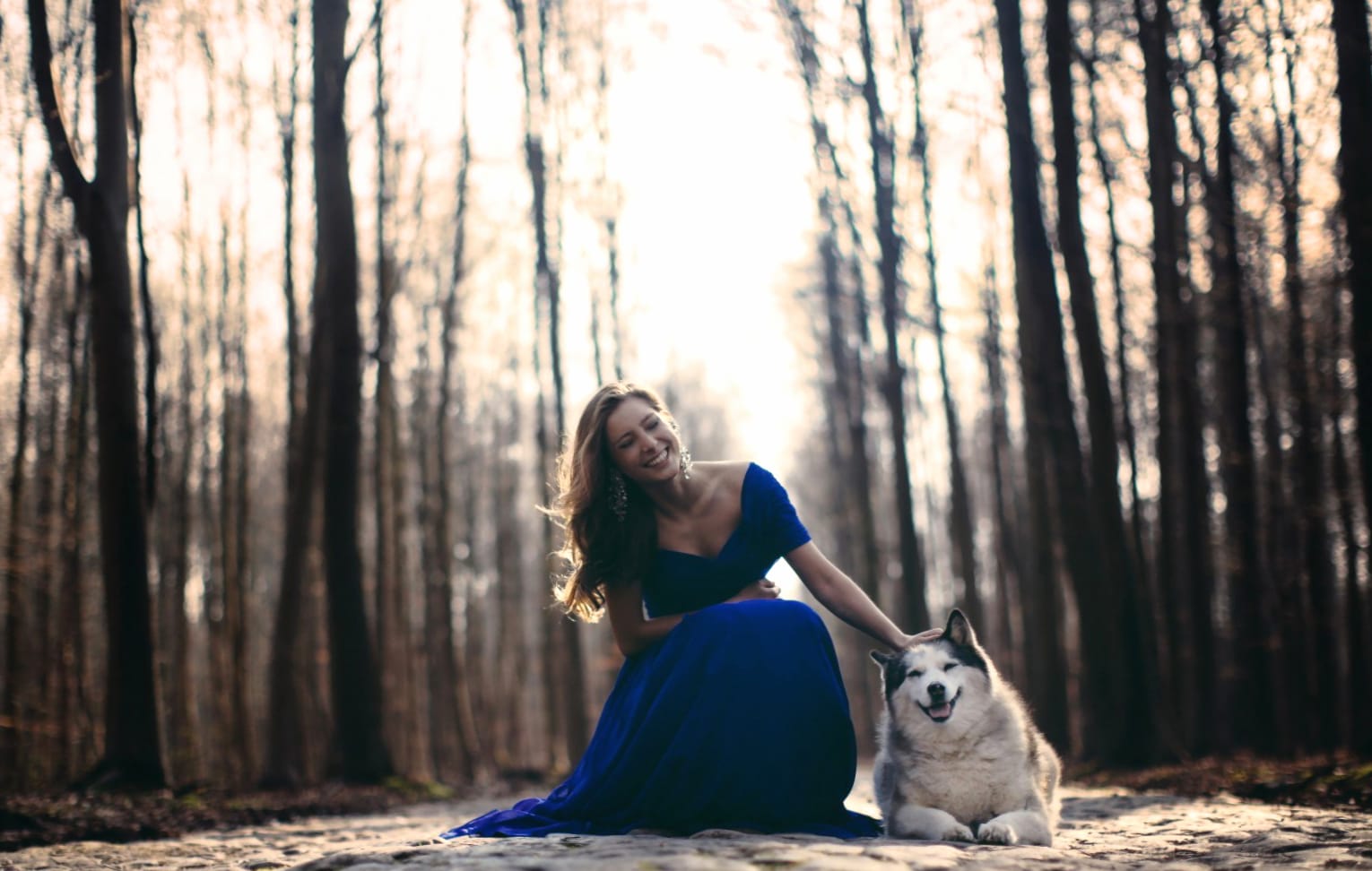 Serene Forest Woman and Dog at 1152 x 864 size wallpapers HD quality