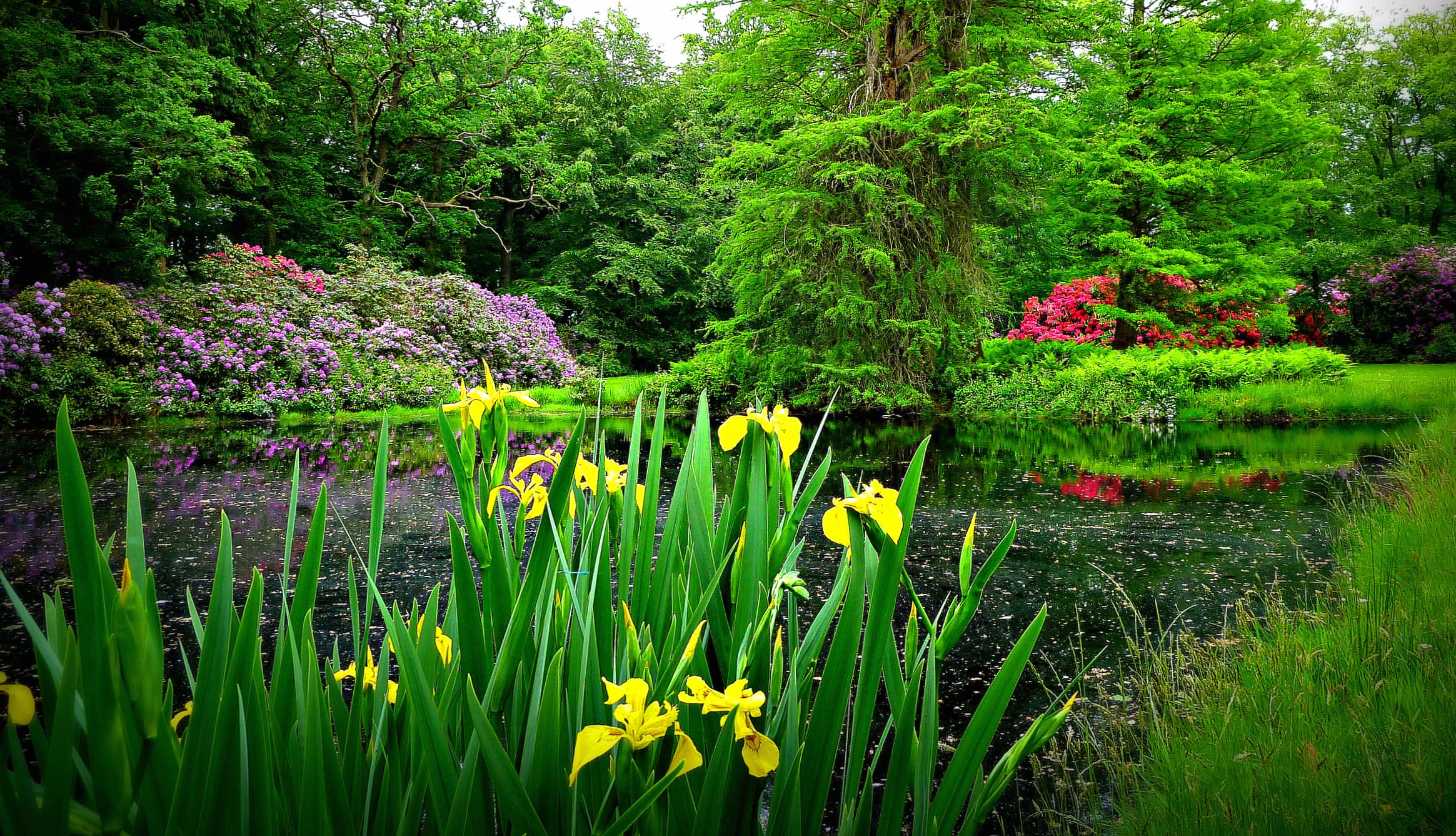 Serene Garden HDR at 640 x 960 iPhone 4 size wallpapers HD quality