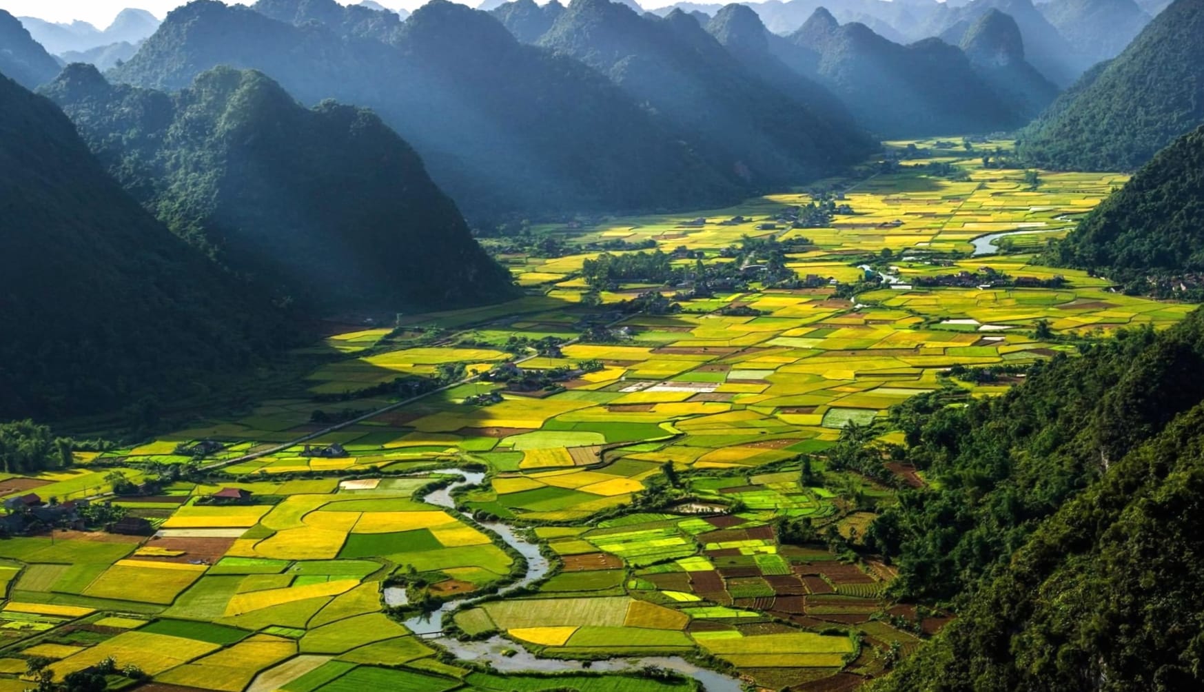 Serene Green Rice Terraces of Vietnam - wallpapers HD quality