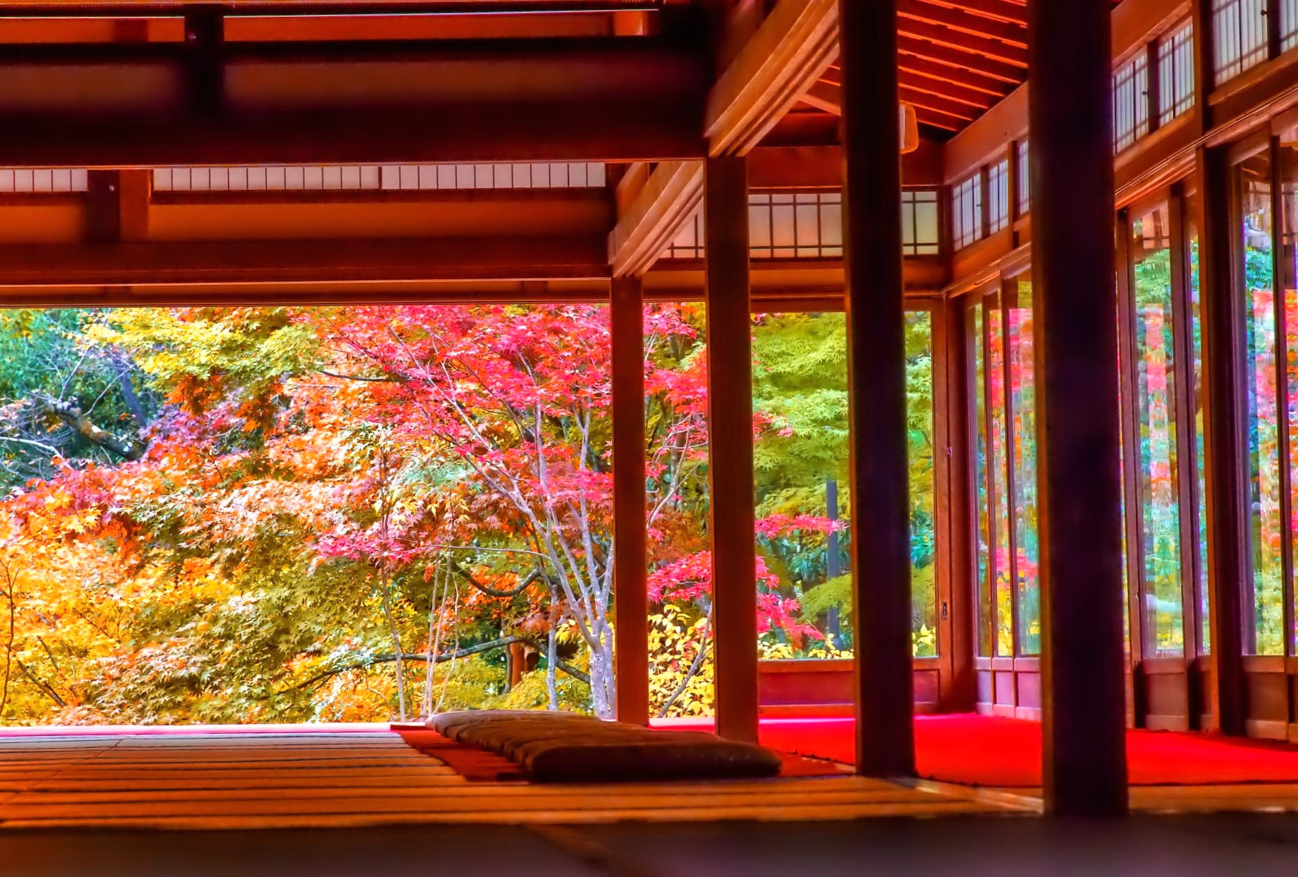 Serene Japanese Fall - wallpapers HD quality