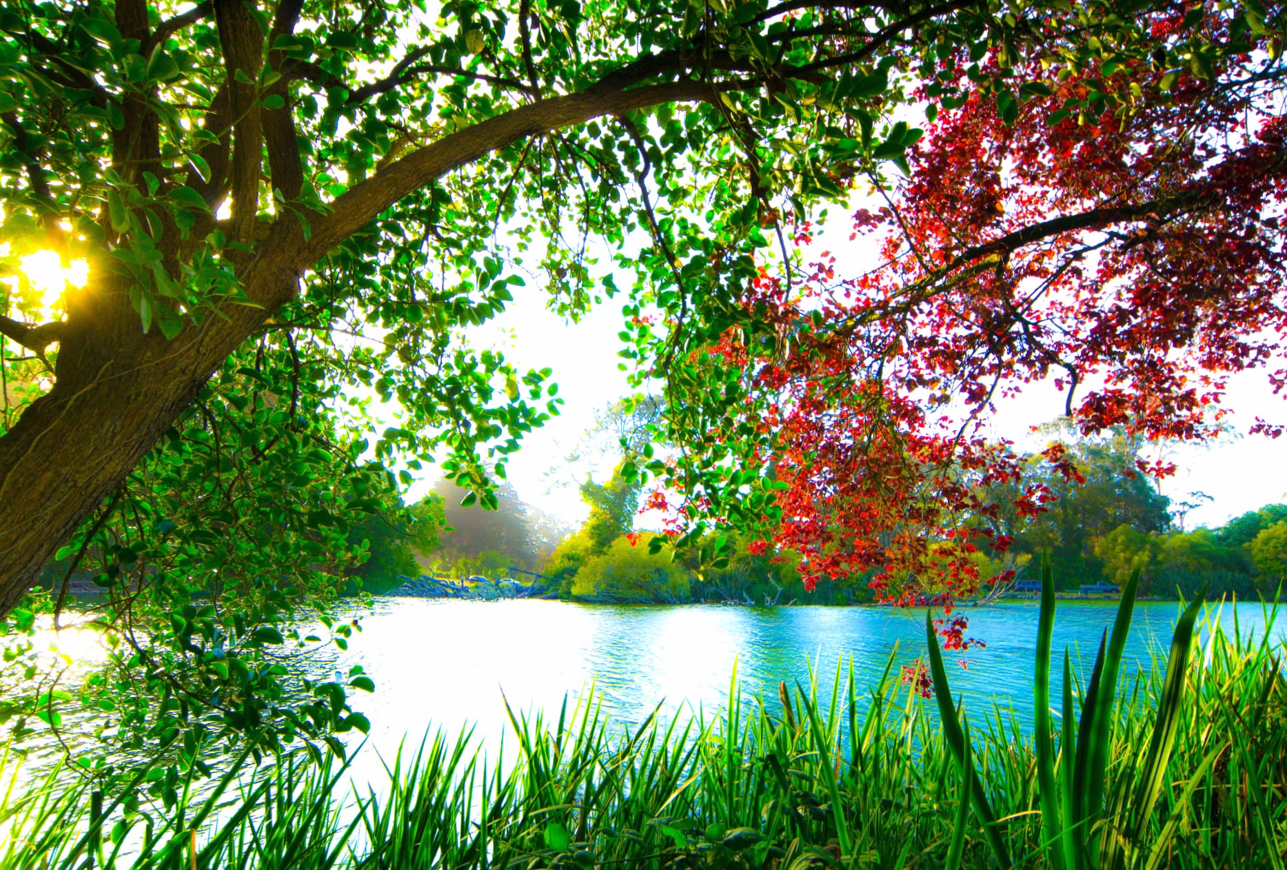 Serene Lakeside in wallpapers HD quality