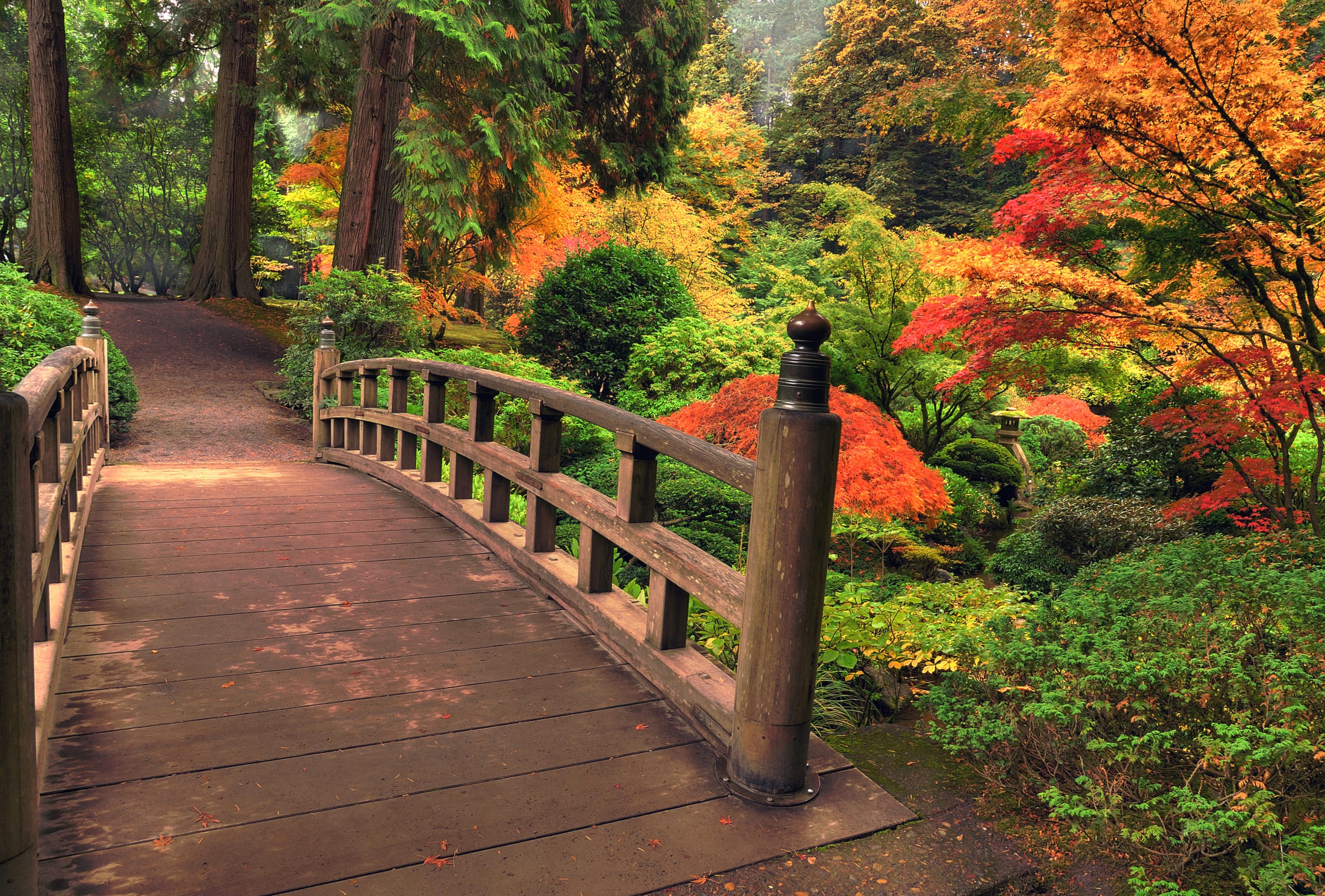 Serene Park Bridge - wallpapers HD quality