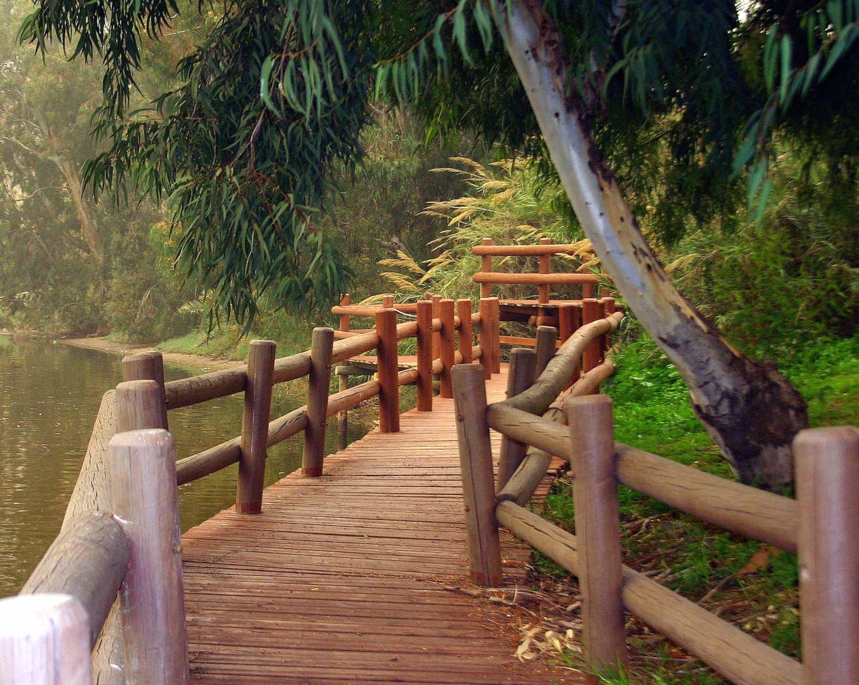 Serene Park Walkway An Inspiring at 1024 x 1024 iPad size wallpapers HD quality