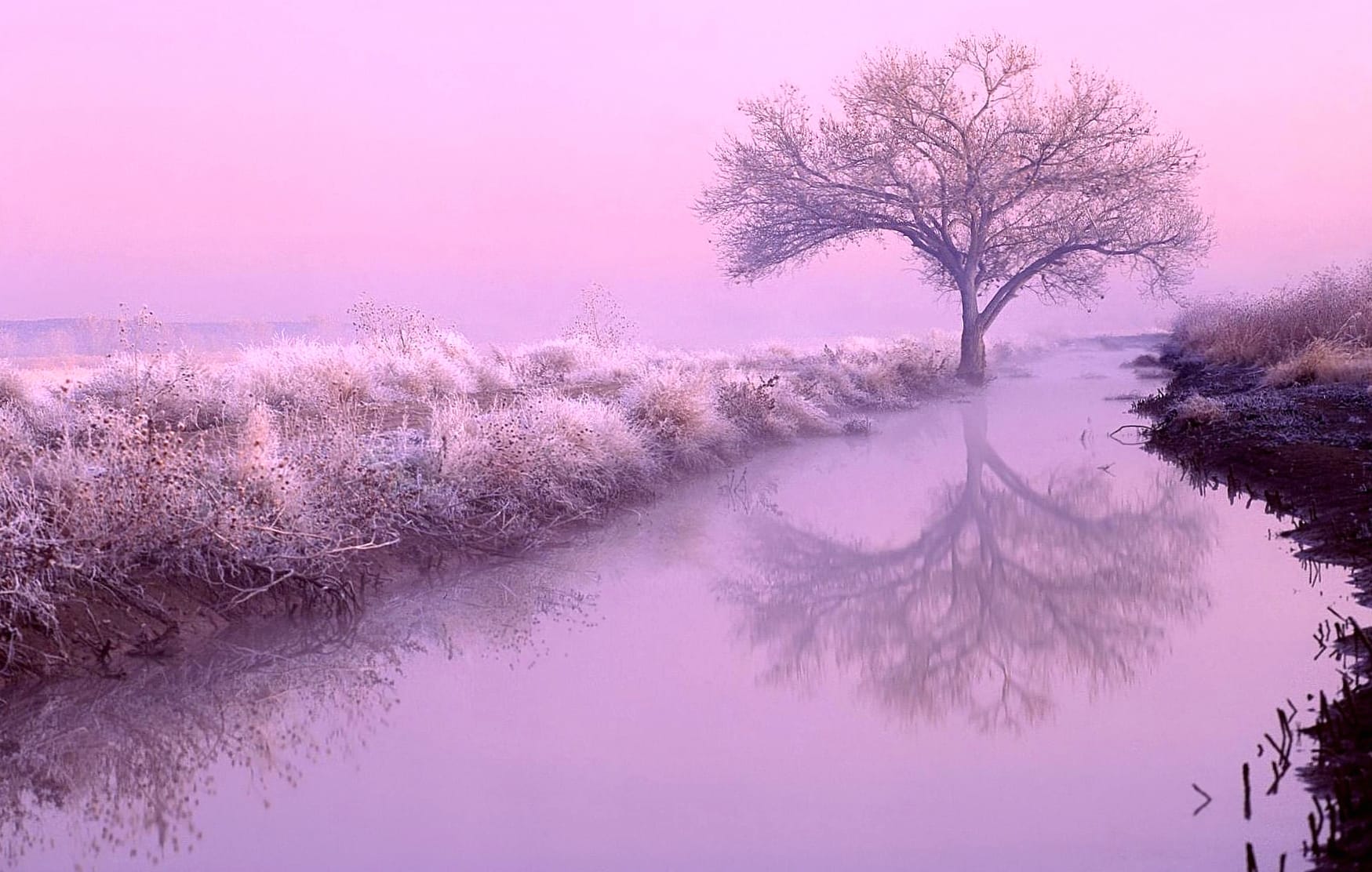 Serene Pink HDR Tranquil wallpapers HD quality