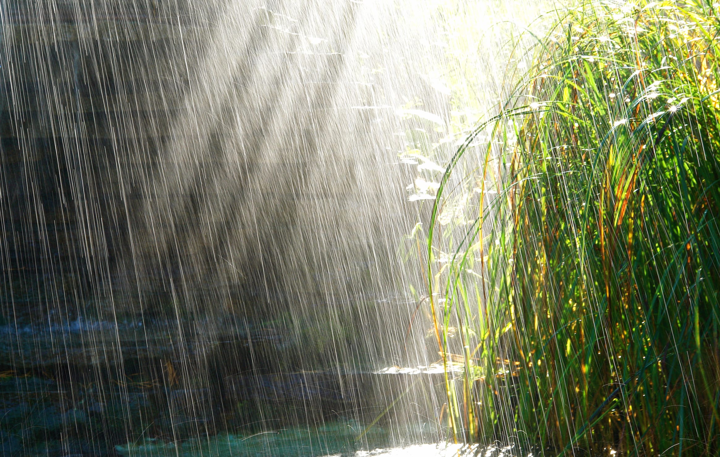 Serene Rainfall A Stunning wallpapers HD quality