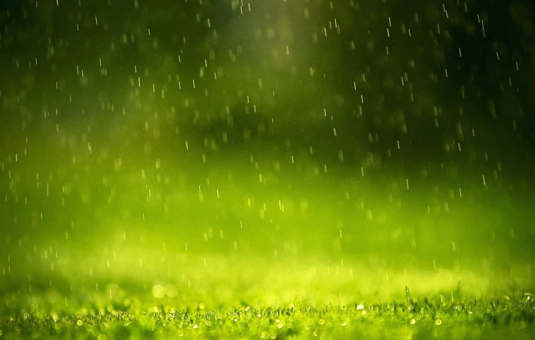 Serene Rainfall Photography wallpapers HD quality