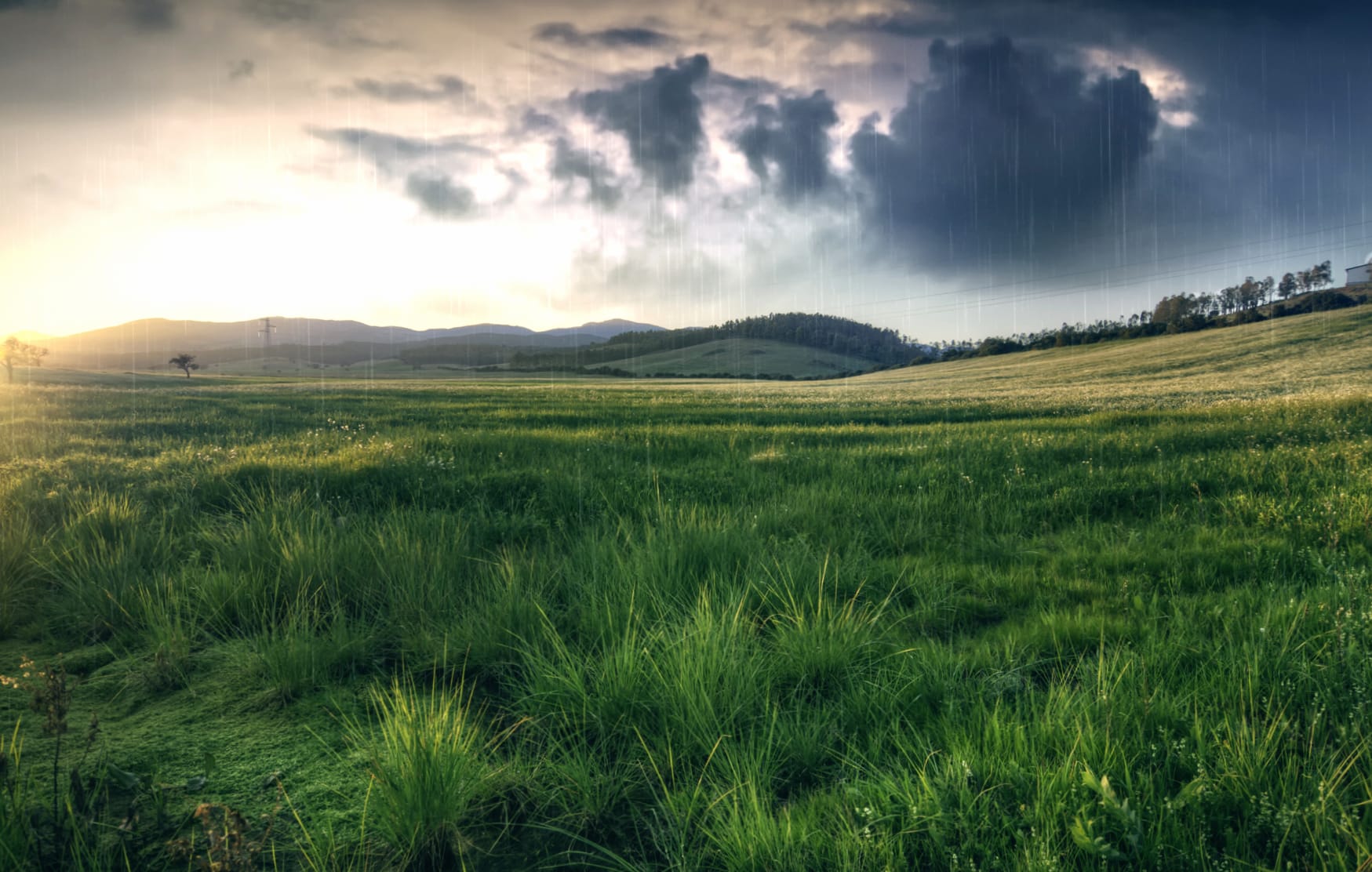 Serene Rainy Landscape for Nature Lovers at 1280 x 960 size wallpapers HD quality