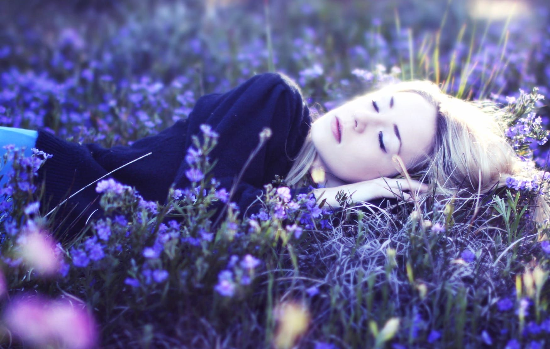 Serene Slumber in Nature - at 1536 x 864 HD size wallpapers HD quality