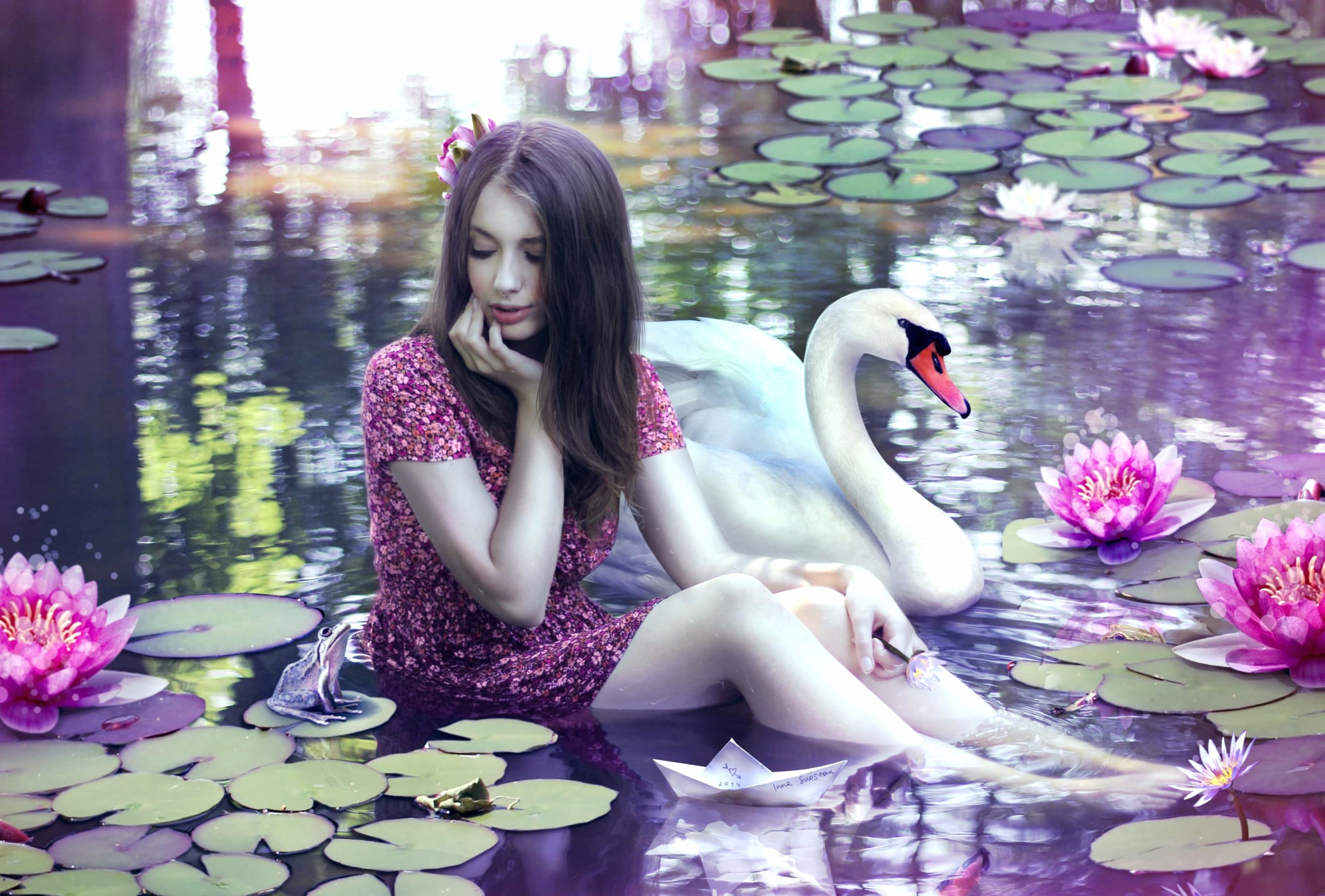 Serene Swan-Reverie wallpapers HD quality