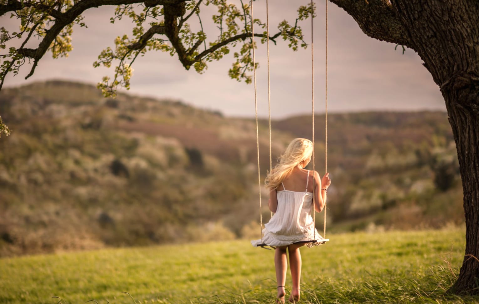 Serene Swing - wallpapers HD quality