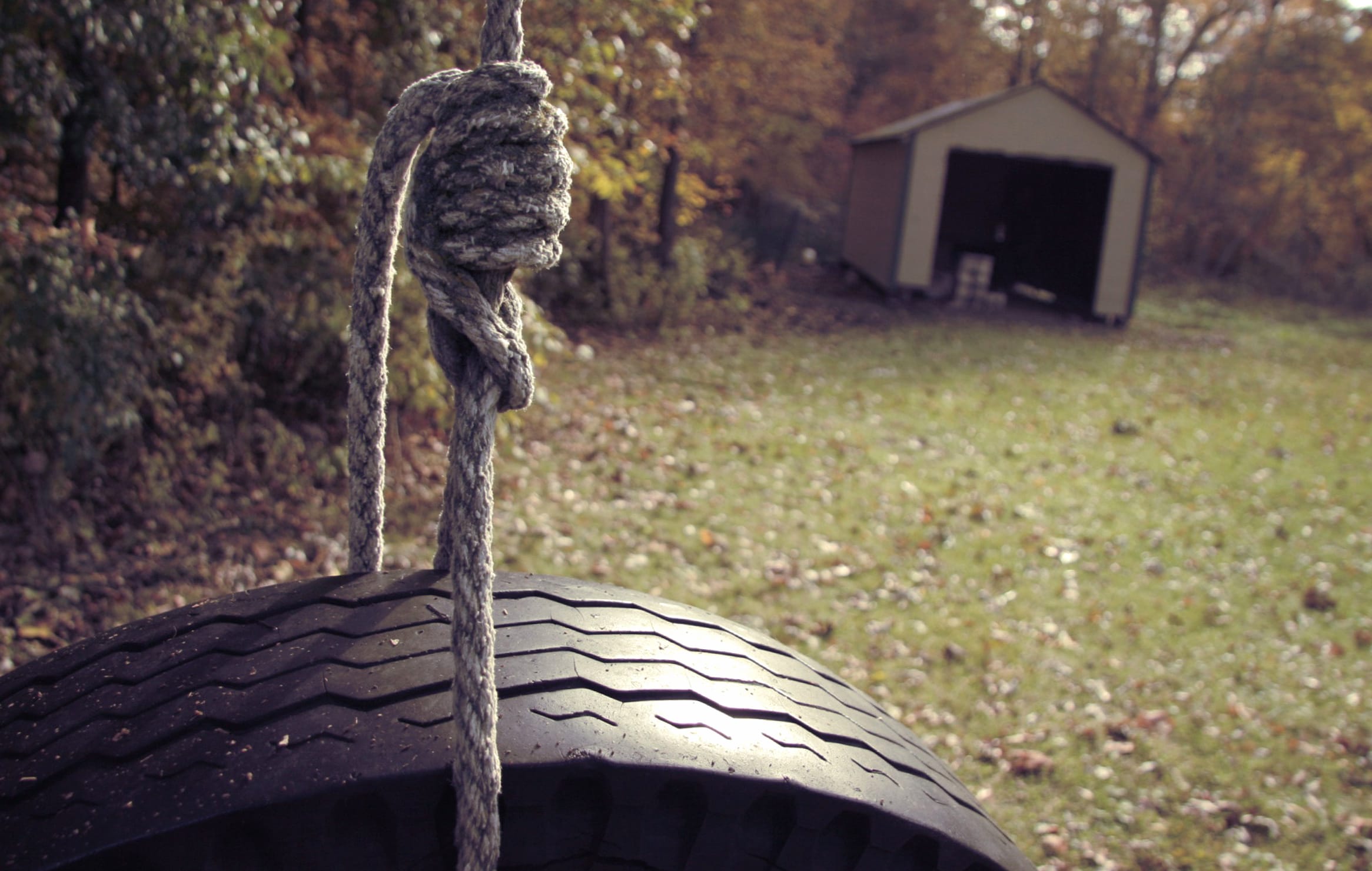 Serene Tire Swing in Autumn - wallpapers HD quality