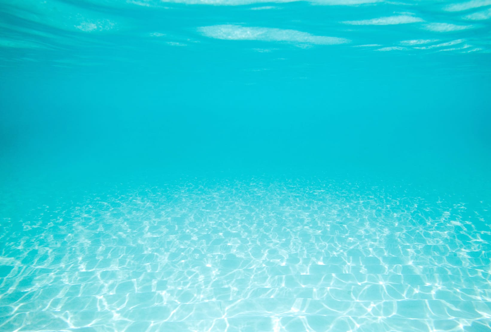 Serene Underwater Bliss - wallpapers HD quality