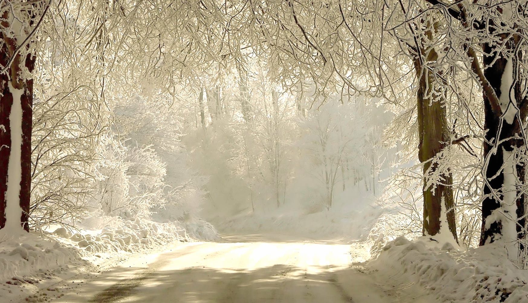 Serene Winter Road wallpapers HD quality