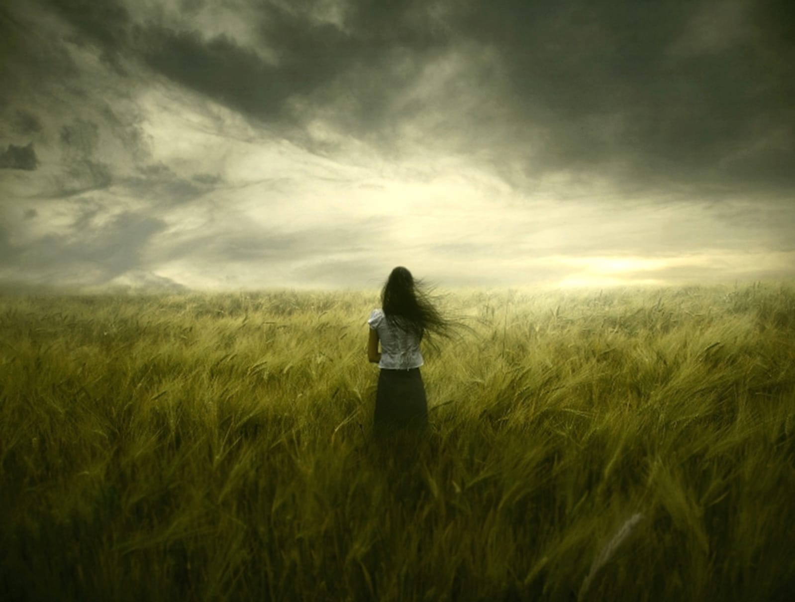 Serene Woman in Field - Artistic wallpapers HD quality