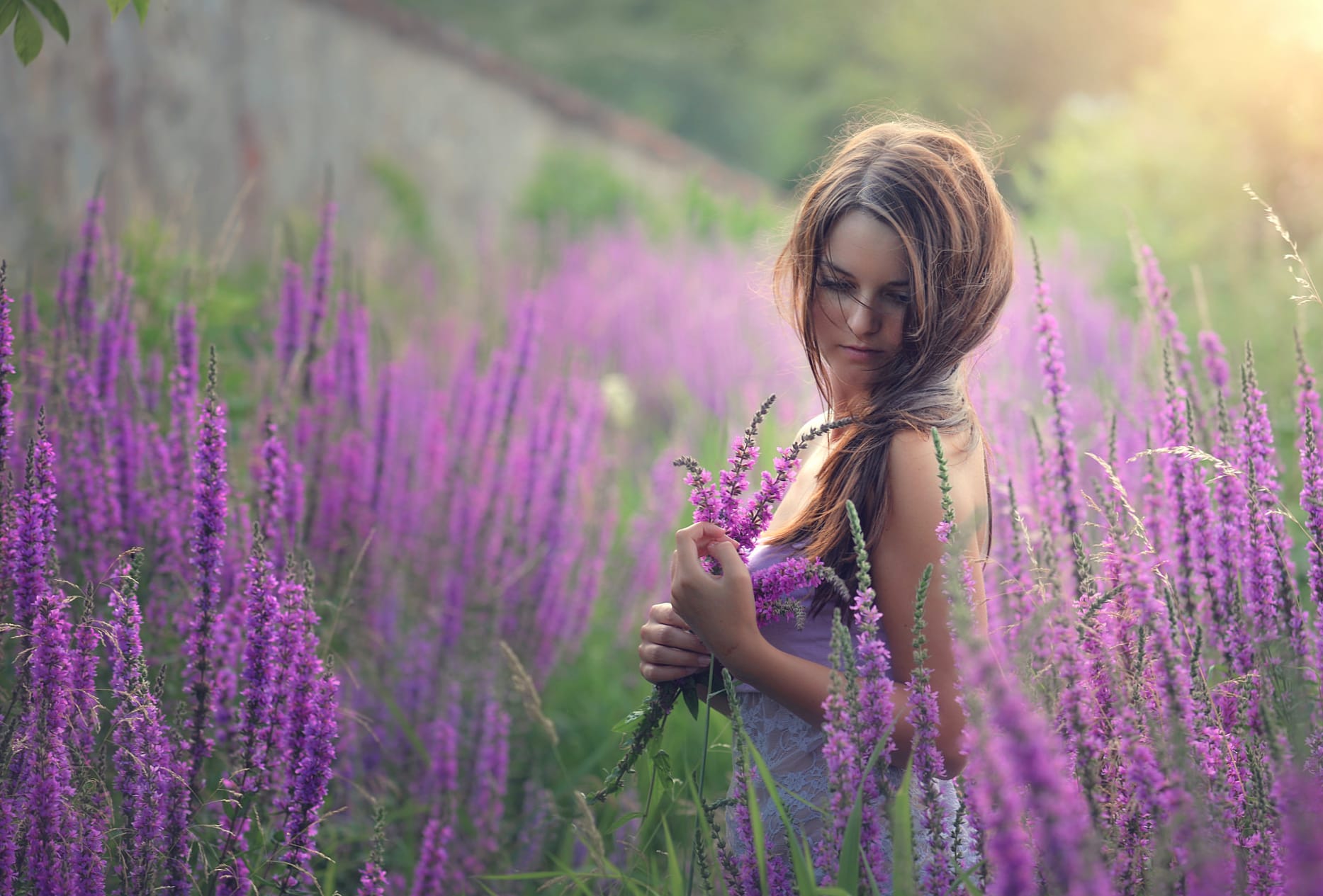 Serene Woman in Lavender Fields - wallpapers HD quality