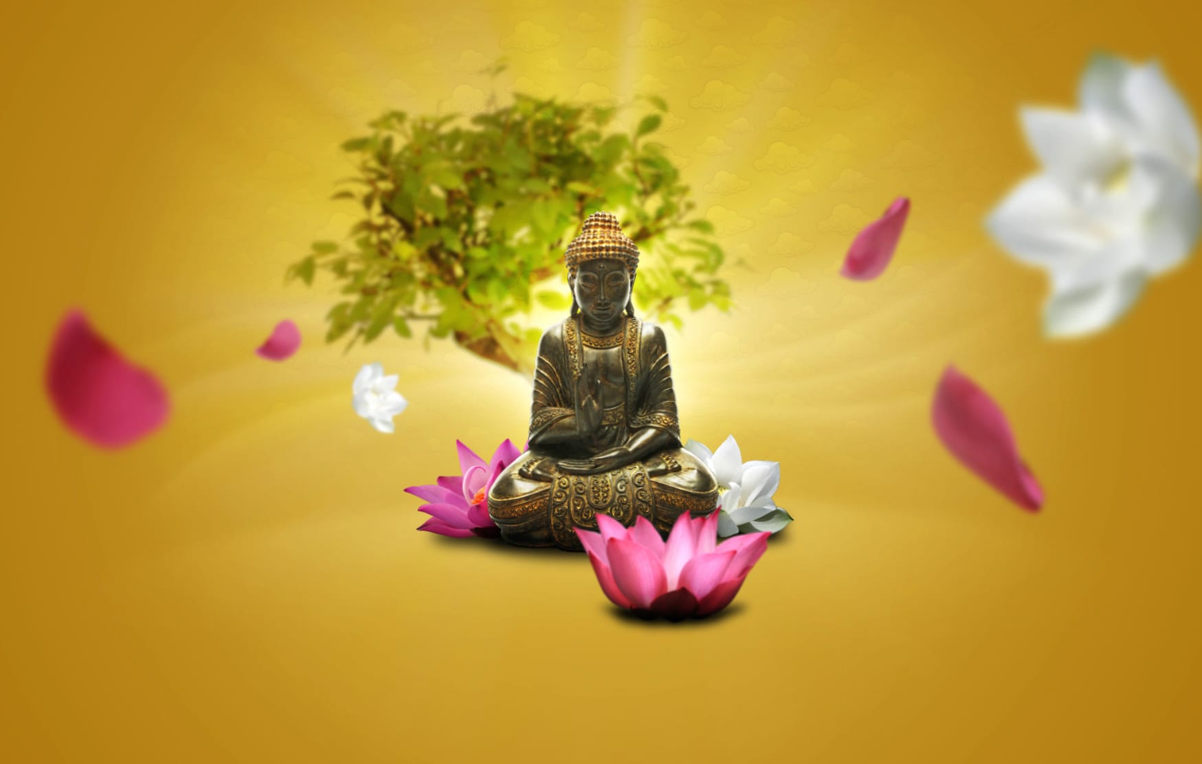 Serenity in Buddhism Peaceful at 640 x 1136 iPhone 5 size wallpapers HD quality