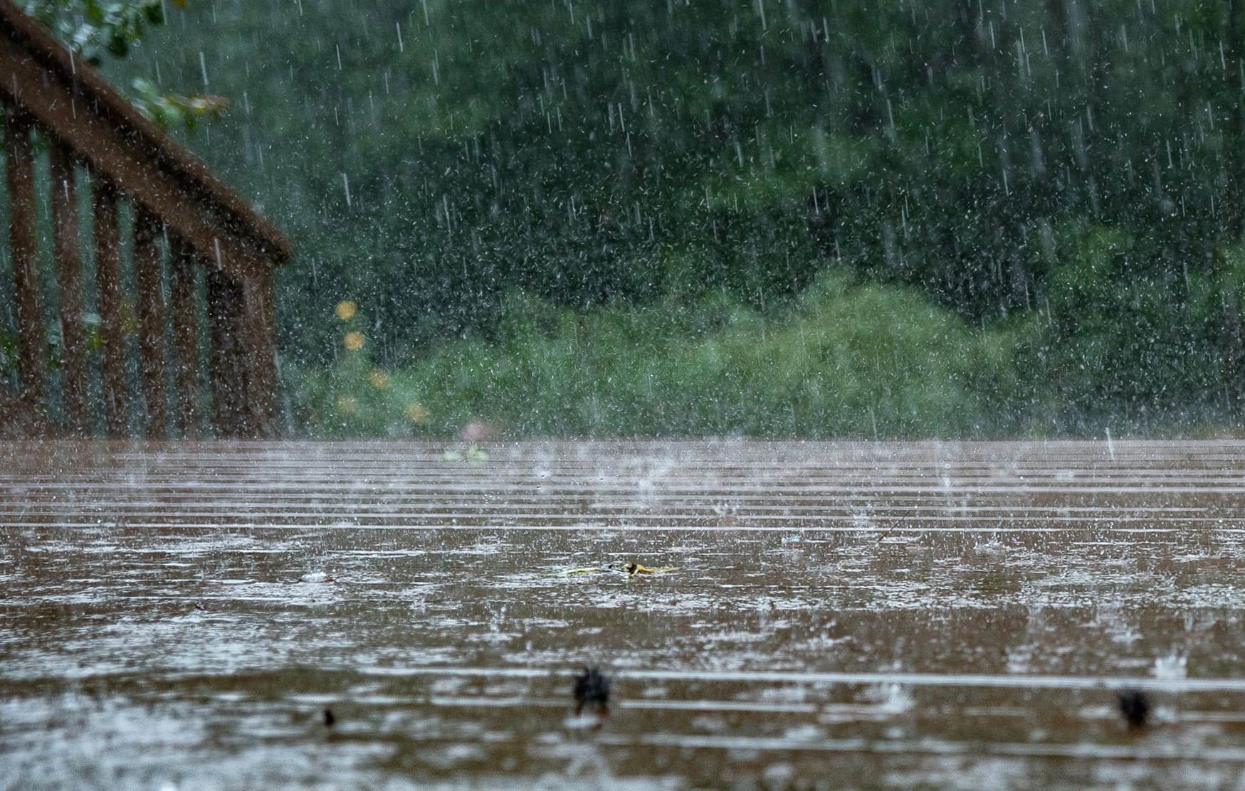 Serenity in Rain of a Bridge and Water Drops wallpapers HD quality