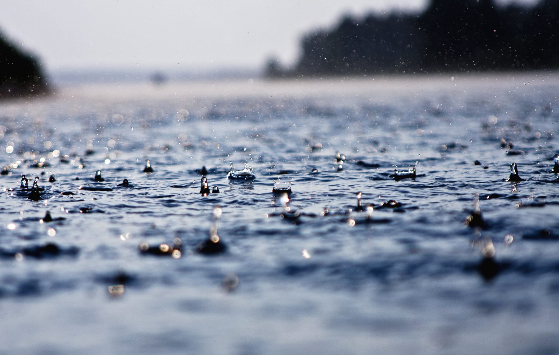 Serenity in Rainfall wallpapers HD quality