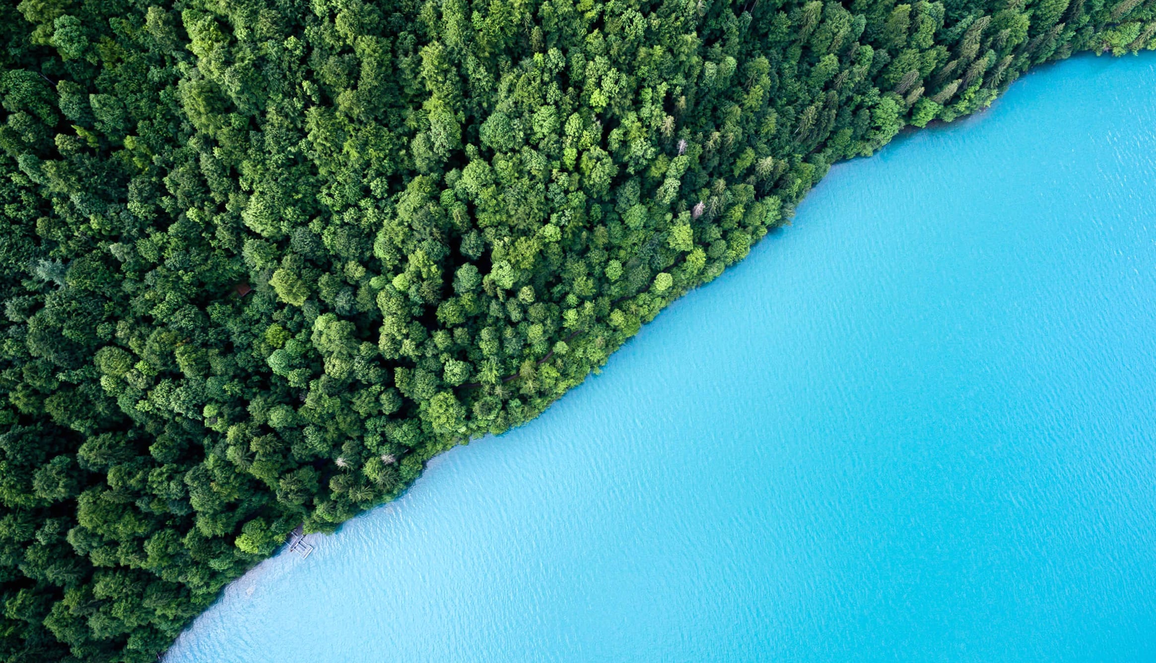 Shoreline Forest Water Photography Aerial at 1920 x 1080 HD size wallpapers HD quality