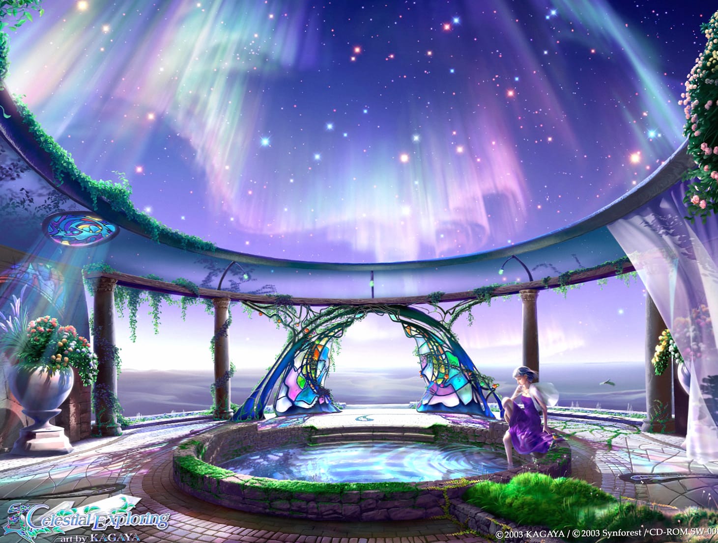 Sky Star Aurora Borealis Artistic Fantasy Wallpaper wallpapers HD quality