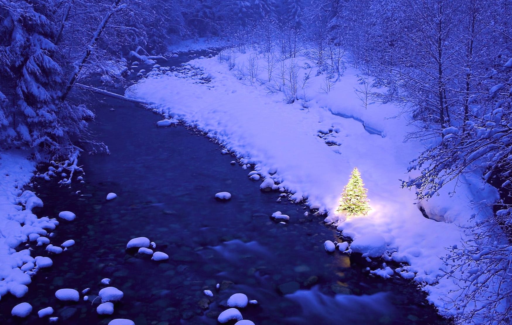 Snow River Winter Christmas Tree Holiday Christmas wallpapers HD quality