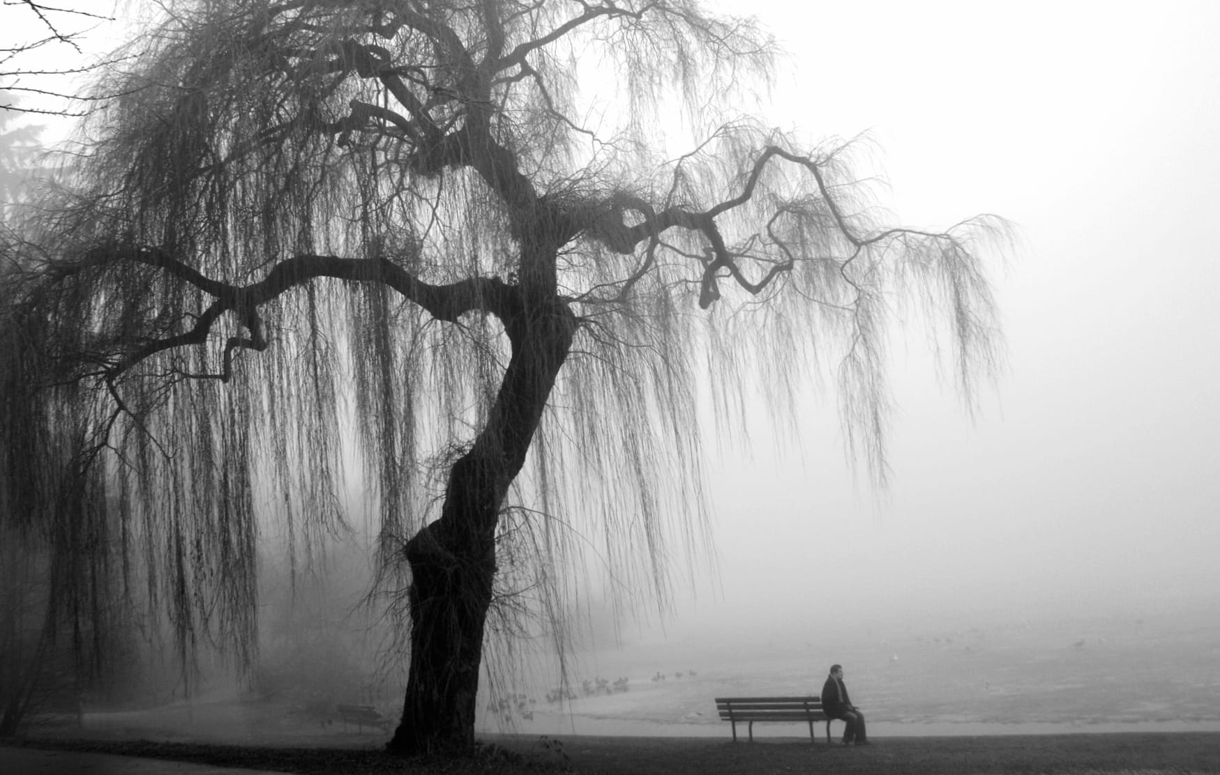 Solitude Black & White at 1680 x 945 HD size wallpapers HD quality