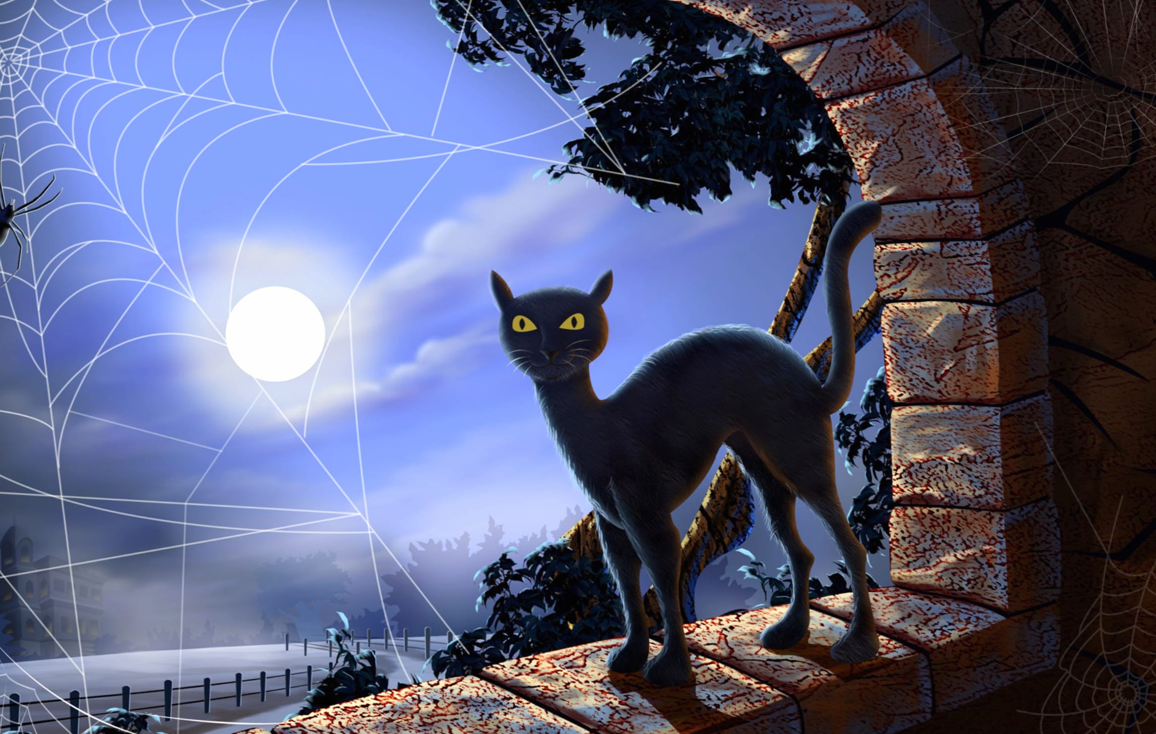 Spider Web Spider Full Moon Cat Holiday Halloween wallpapers HD quality