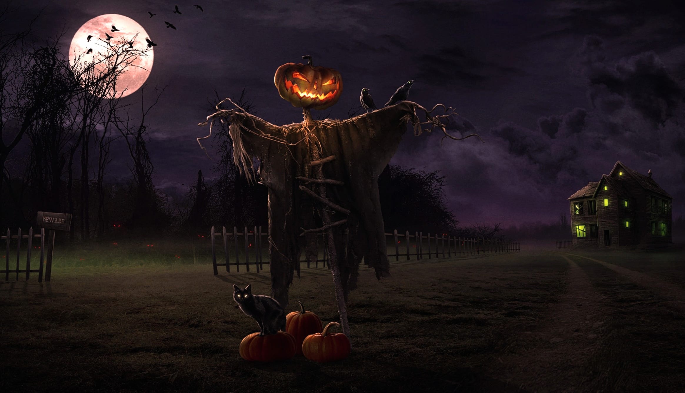 Spooky Halloween A Chilling Night of Frights wallpapers HD quality