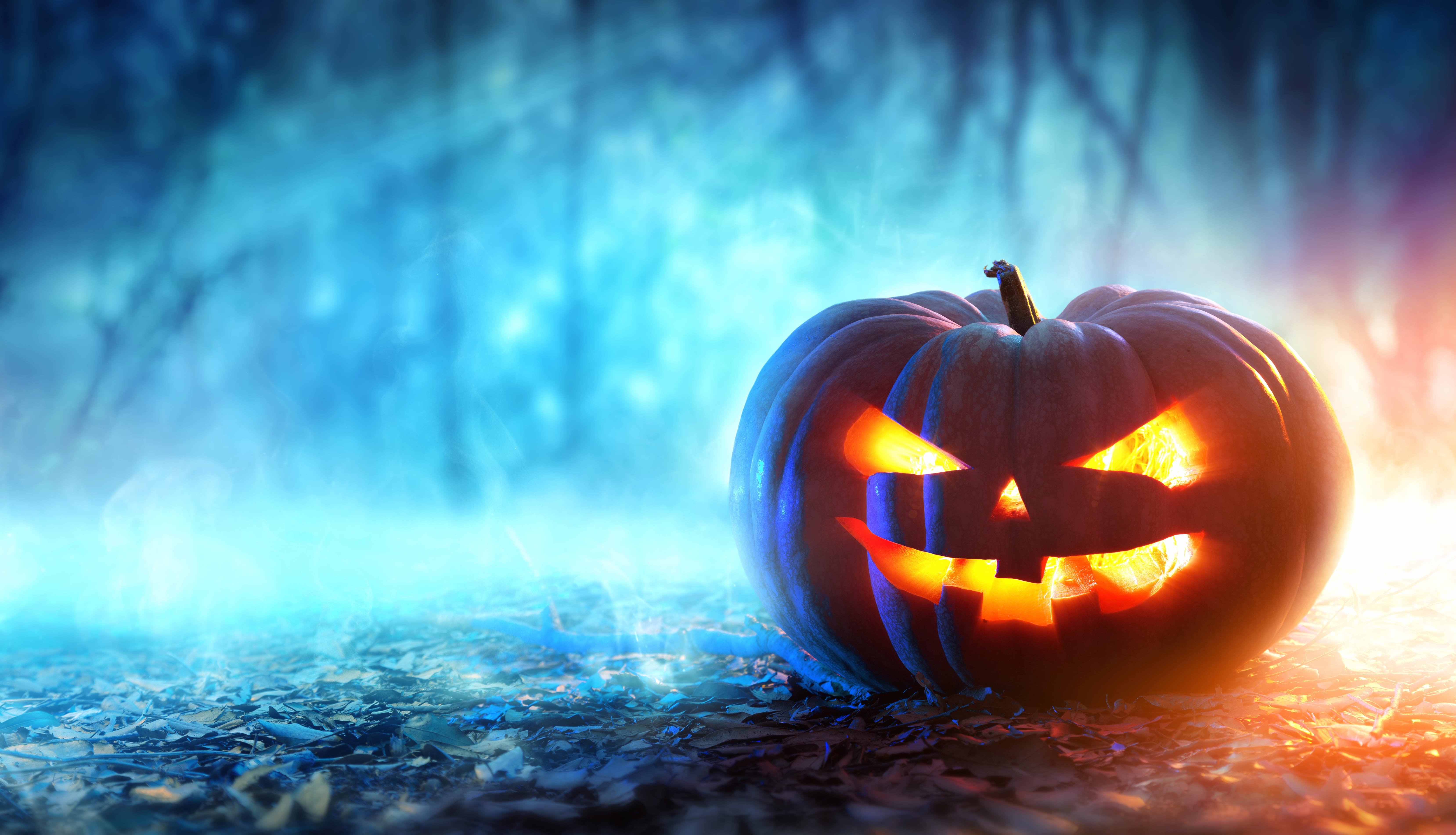 Spooky Halloween Delight wallpapers HD quality