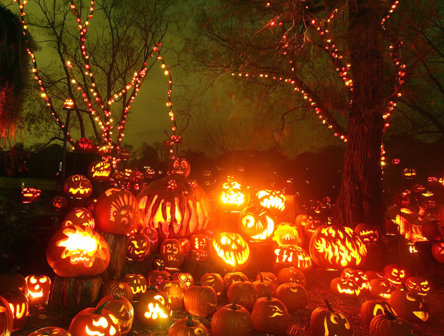 Spooky Halloween Pumpkin Wonderland - wallpapers HD quality