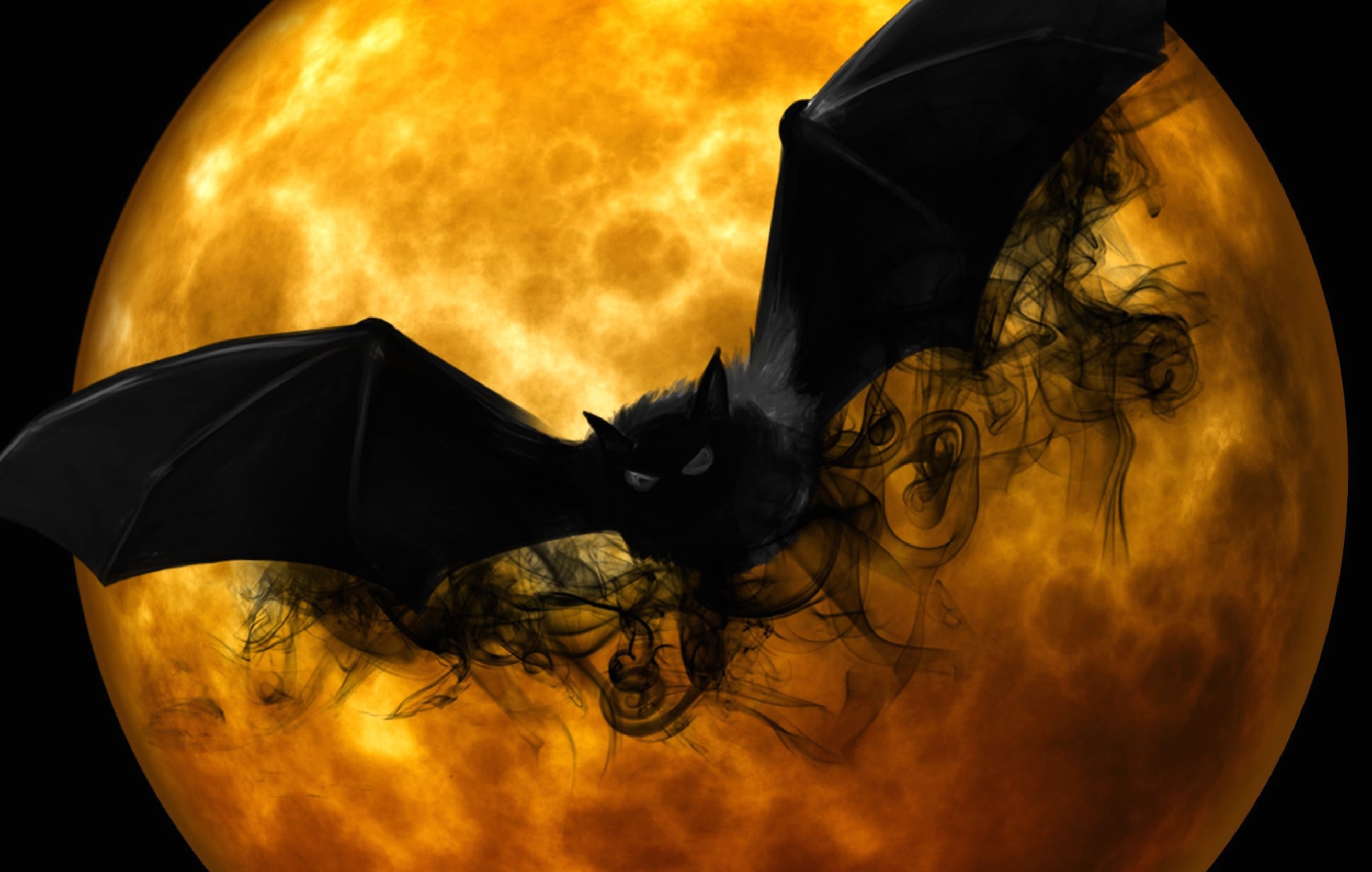 Spooky Halloween with Moon and Bat wallpapers HD quality