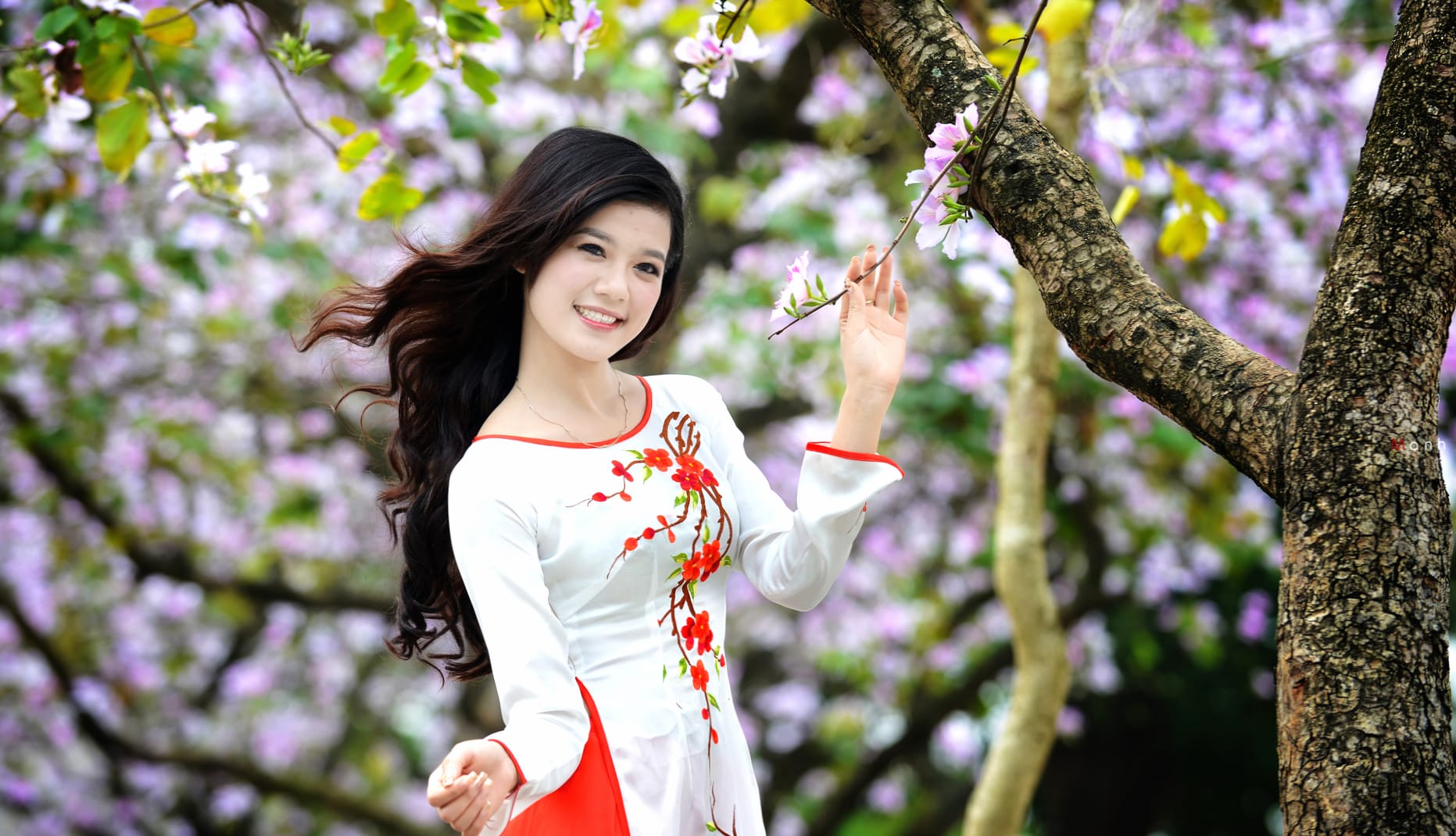 Spring Blossom Beauty - Asian Woman at 2560 x 1440 HD size wallpapers HD quality