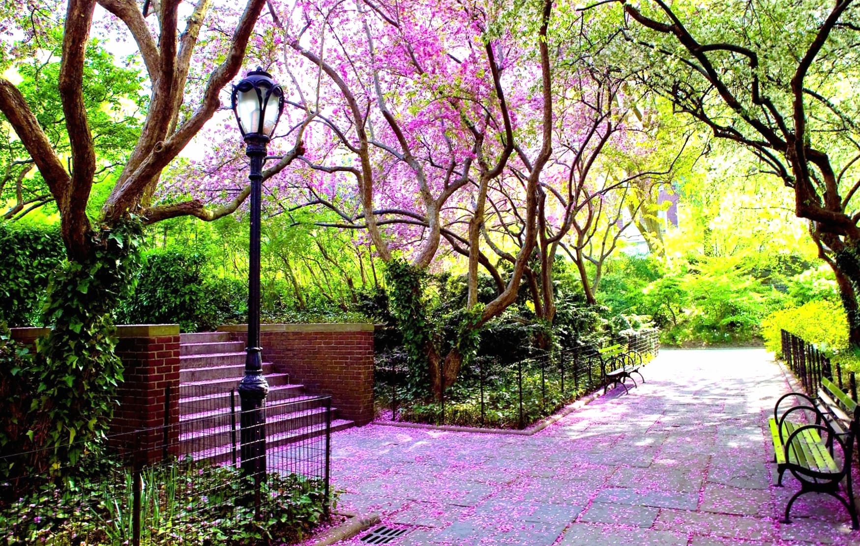 Spring Park Path wallpapers HD quality