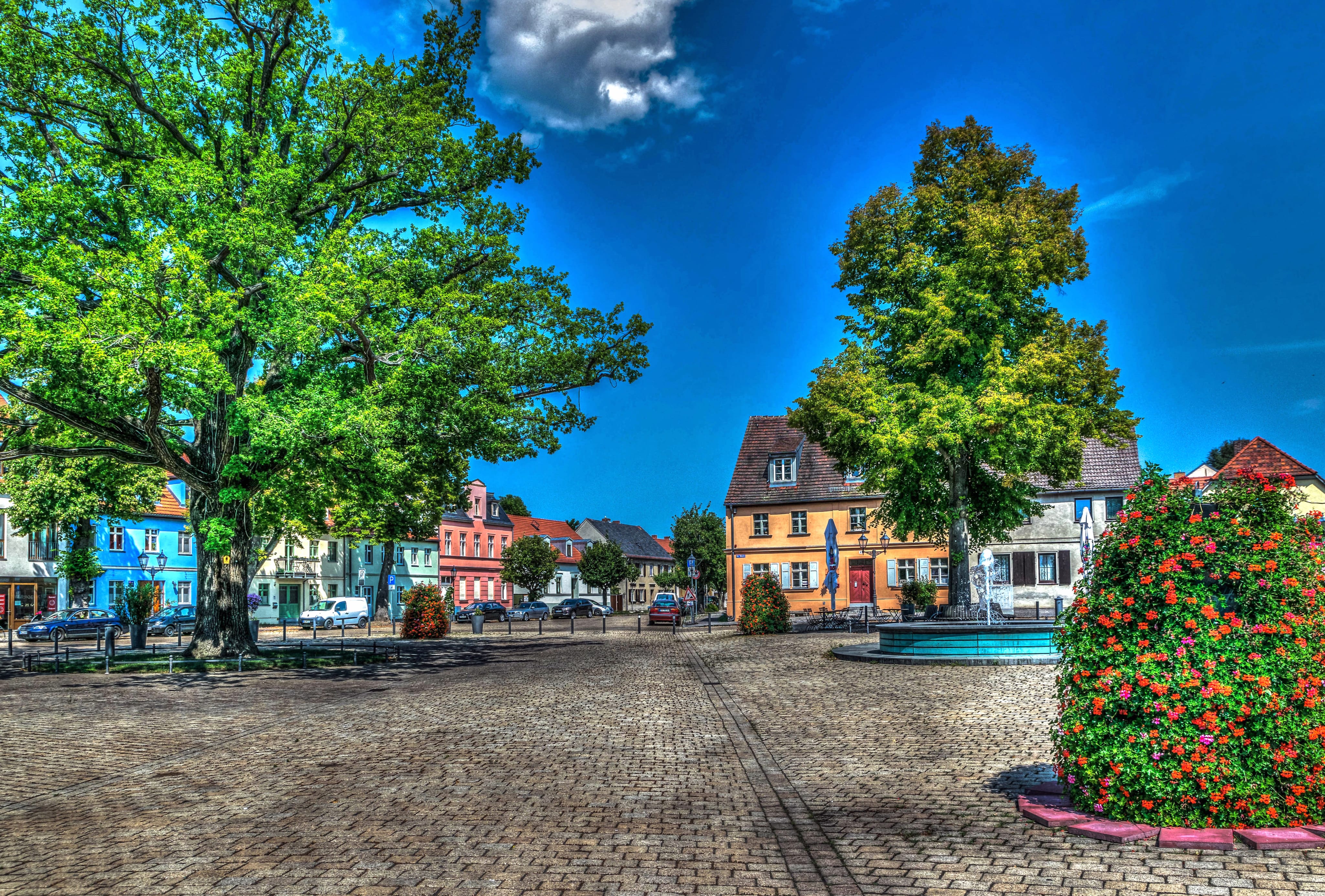 Square Tree House Street Town Germany Bradenburg Photography HDR wallpapers HD quality