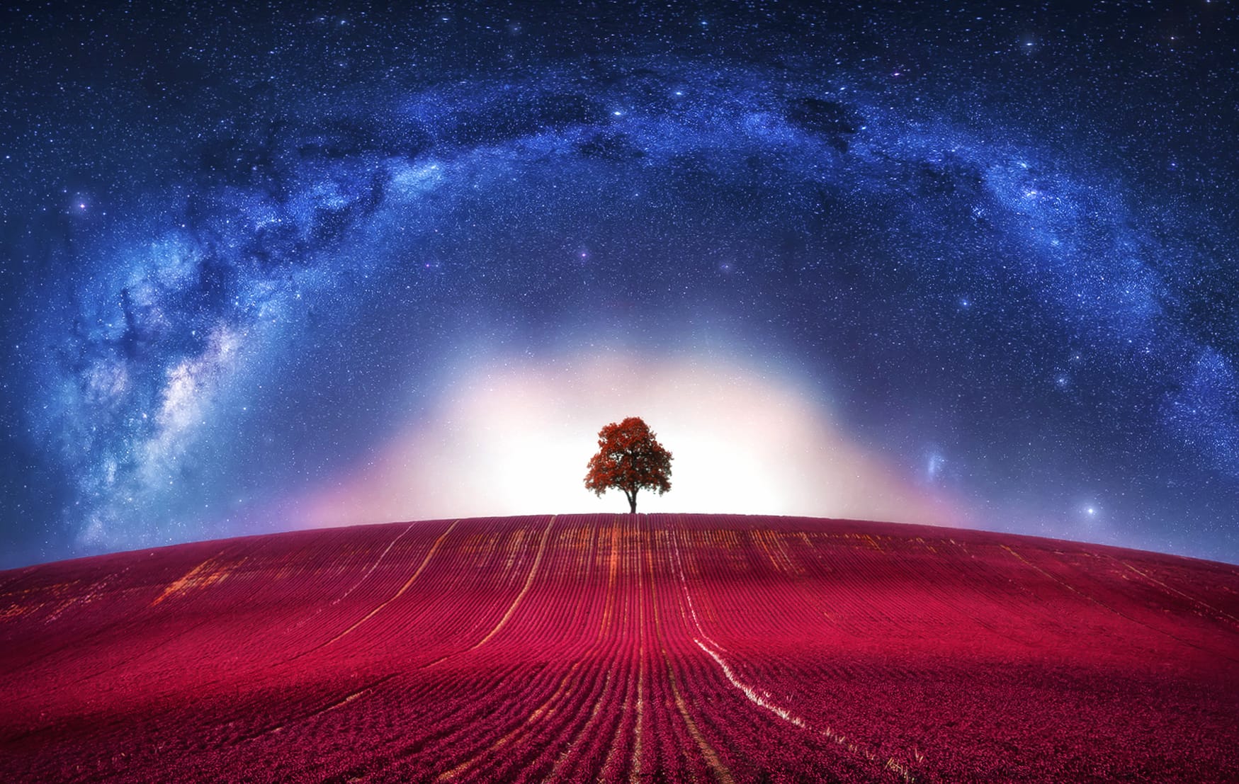 Star Sky Milky Way Field Tree Lonely Tree Photography Manipulation wallpapers HD quality