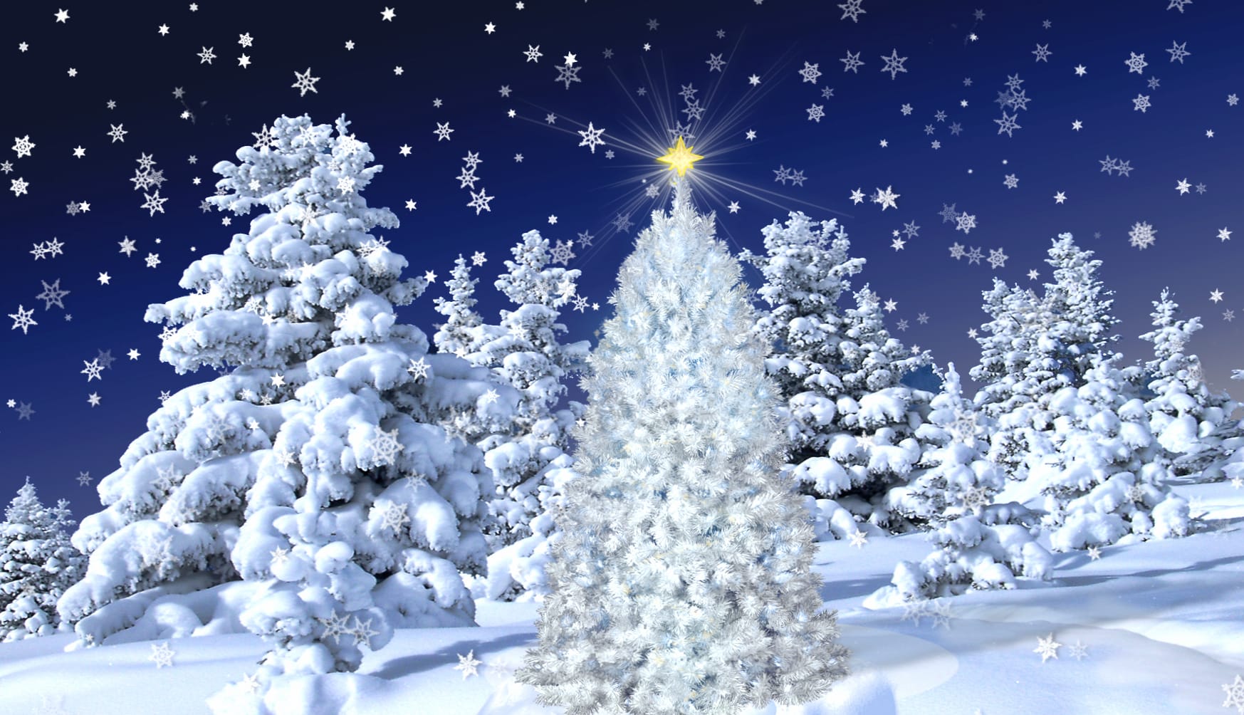 Star Snowflake Snowfall Snow Tree Forest Holiday Christmas wallpapers HD quality