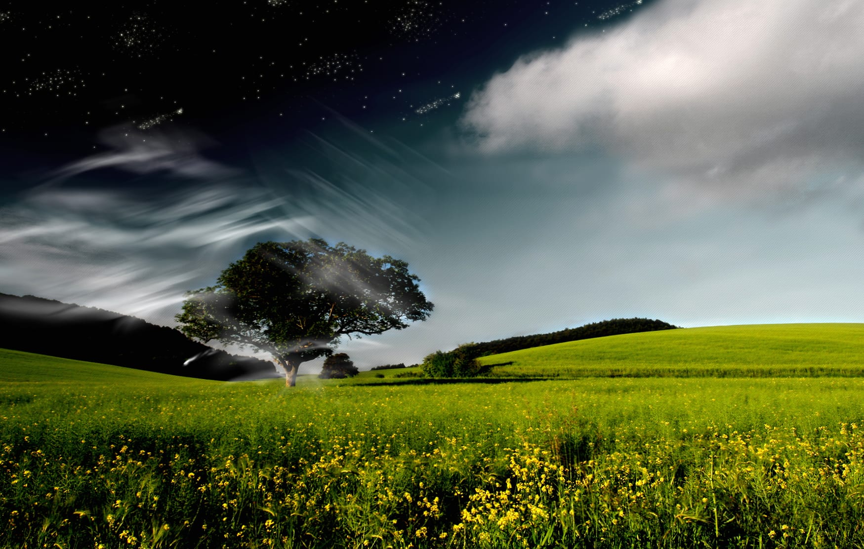 Starlit Meadow at 1280 x 960 size wallpapers HD quality