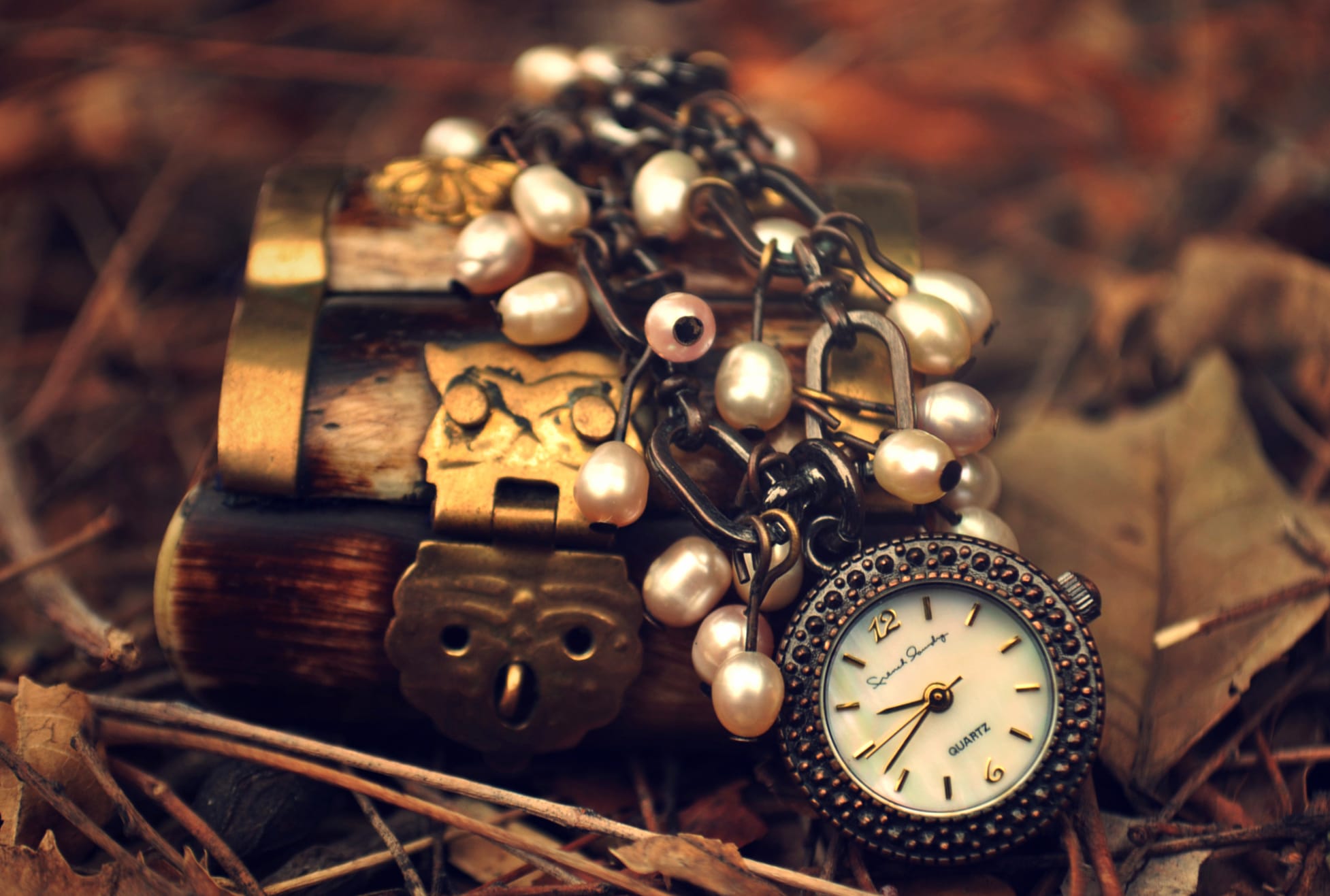 Steampunk Elegance A Stunning Still Life wallpapers HD quality