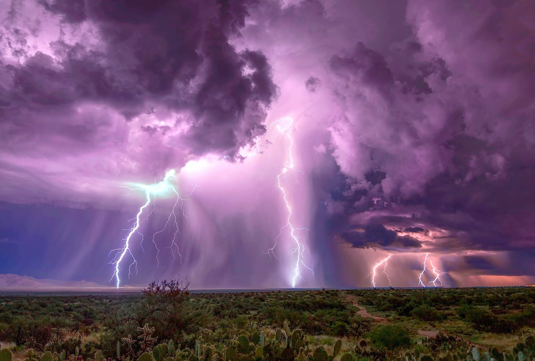 Storm Horizon Cloud Cactus Desert Night Photography Lightning at 1536 x 864 HD size wallpapers HD quality