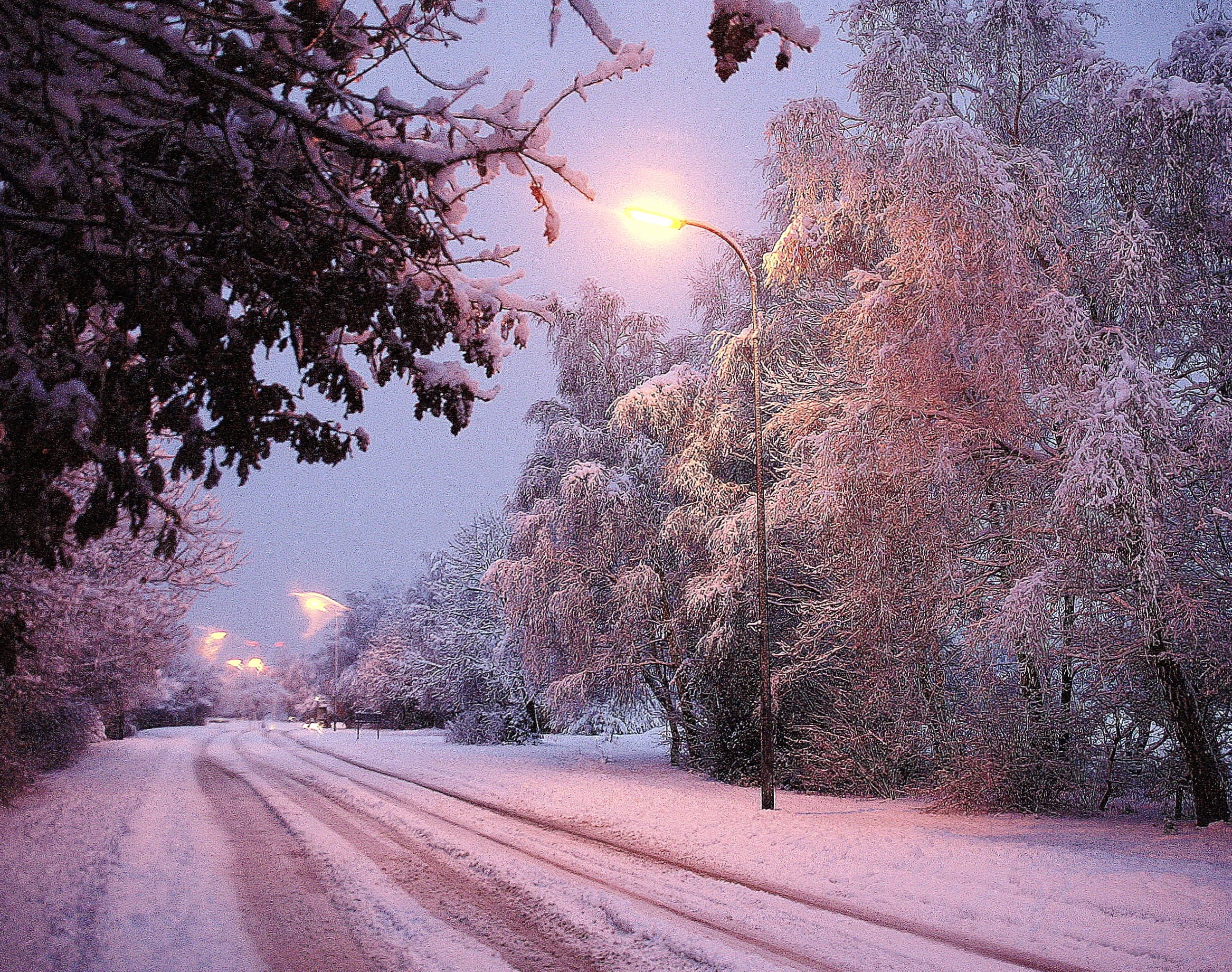 Street Light Tree Dusk Snow Road Earth Photography Winter at 1536 x 864 HD size wallpapers HD quality